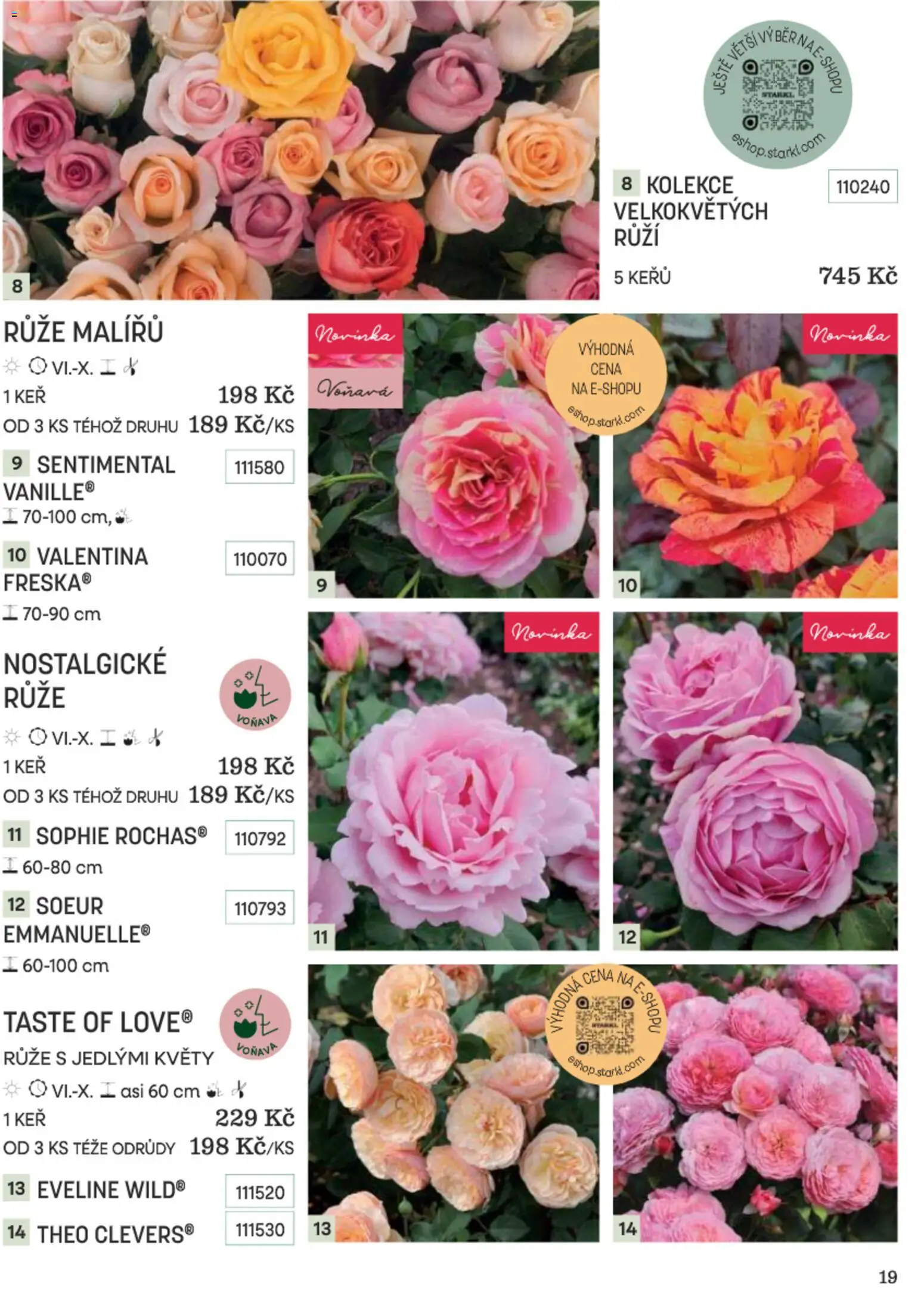 Starkl katalog Podzim 2026 od 01.09.2026 | Strana: 19 | Produkty: Květy