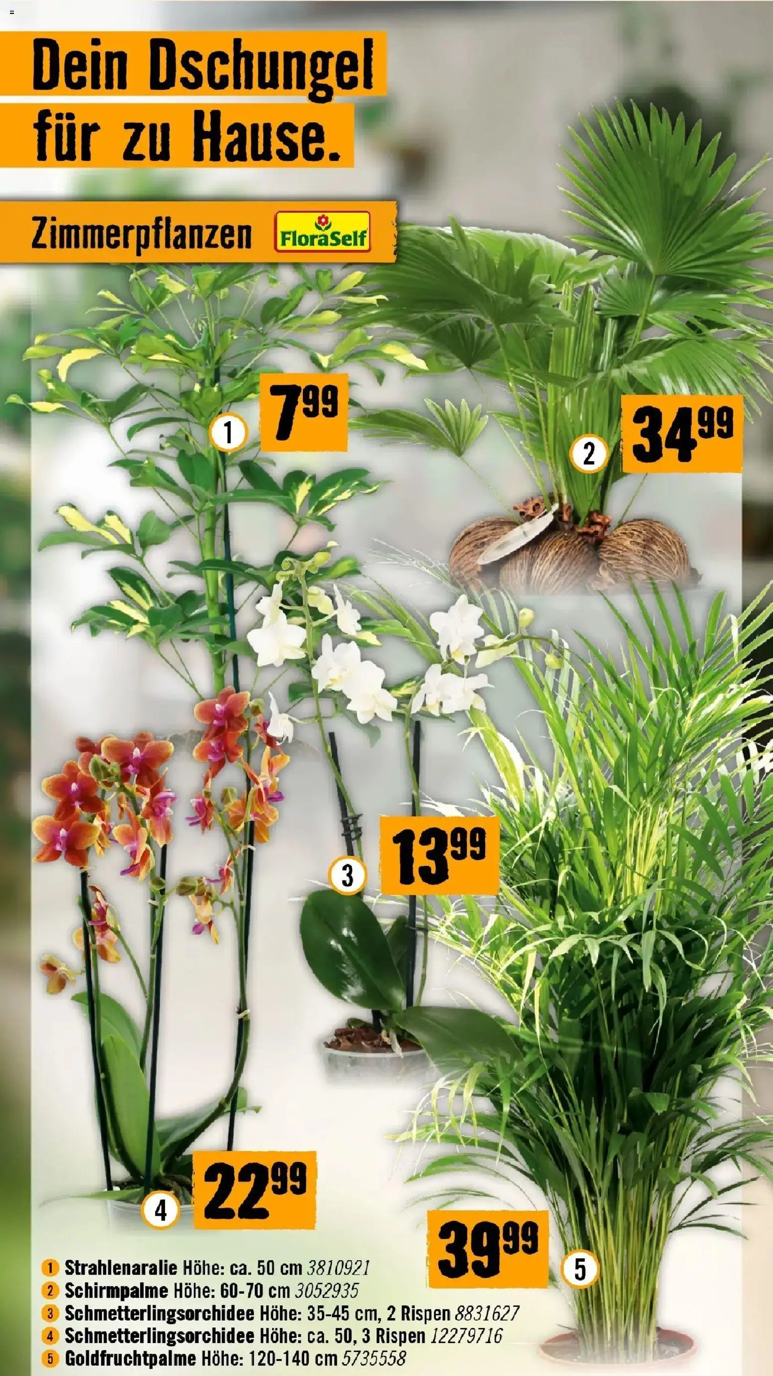 Hornbach - Hornbach: Es gibt immer was zu tun. von 16.09.2026 - Aktuelle Angebote | Seite: 42
