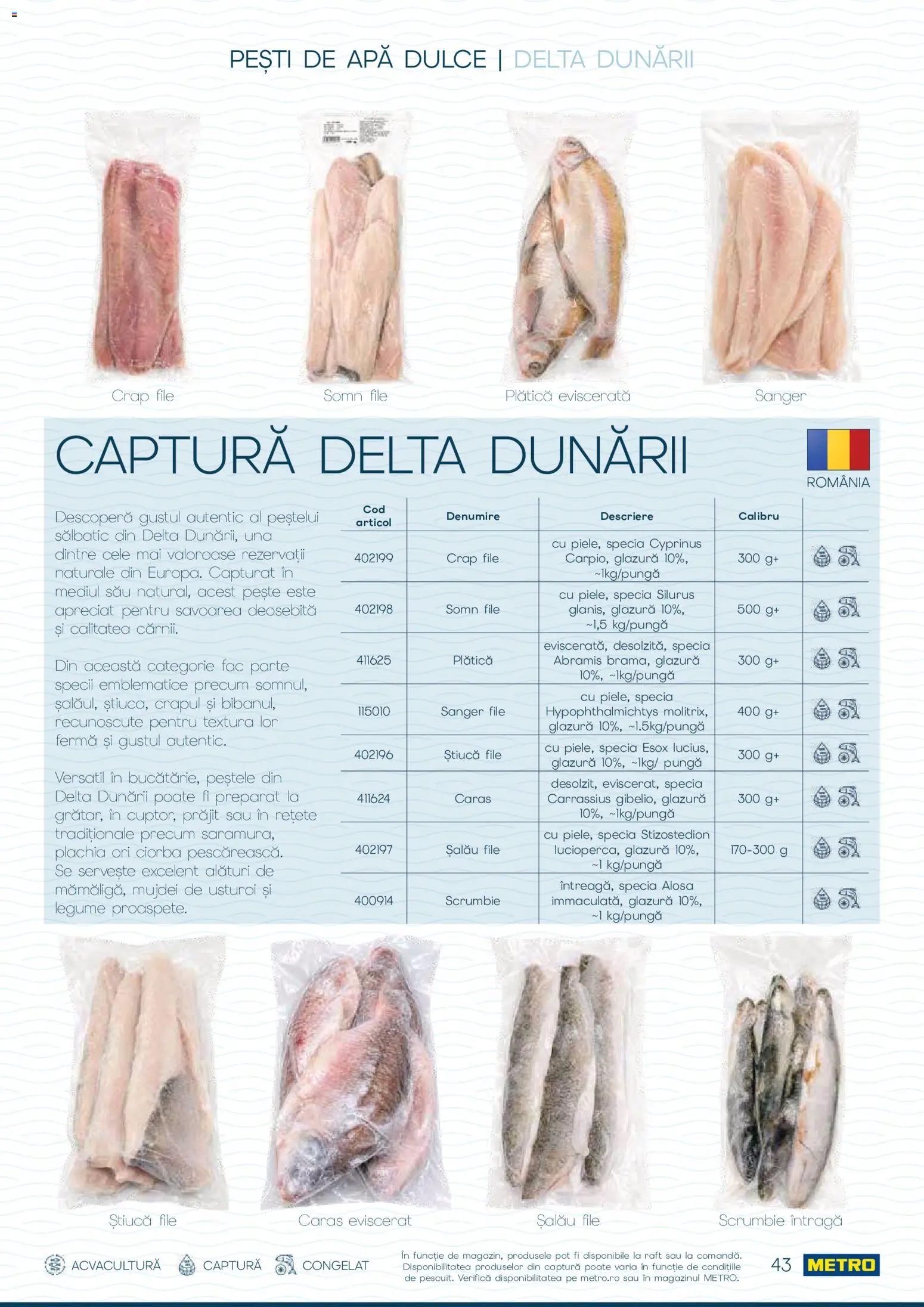 Noul catalog Metro – valabil de la 01.10.2026 | Pagină: 43 | Produse: Ciorba, Pește, Apă, Usturoi