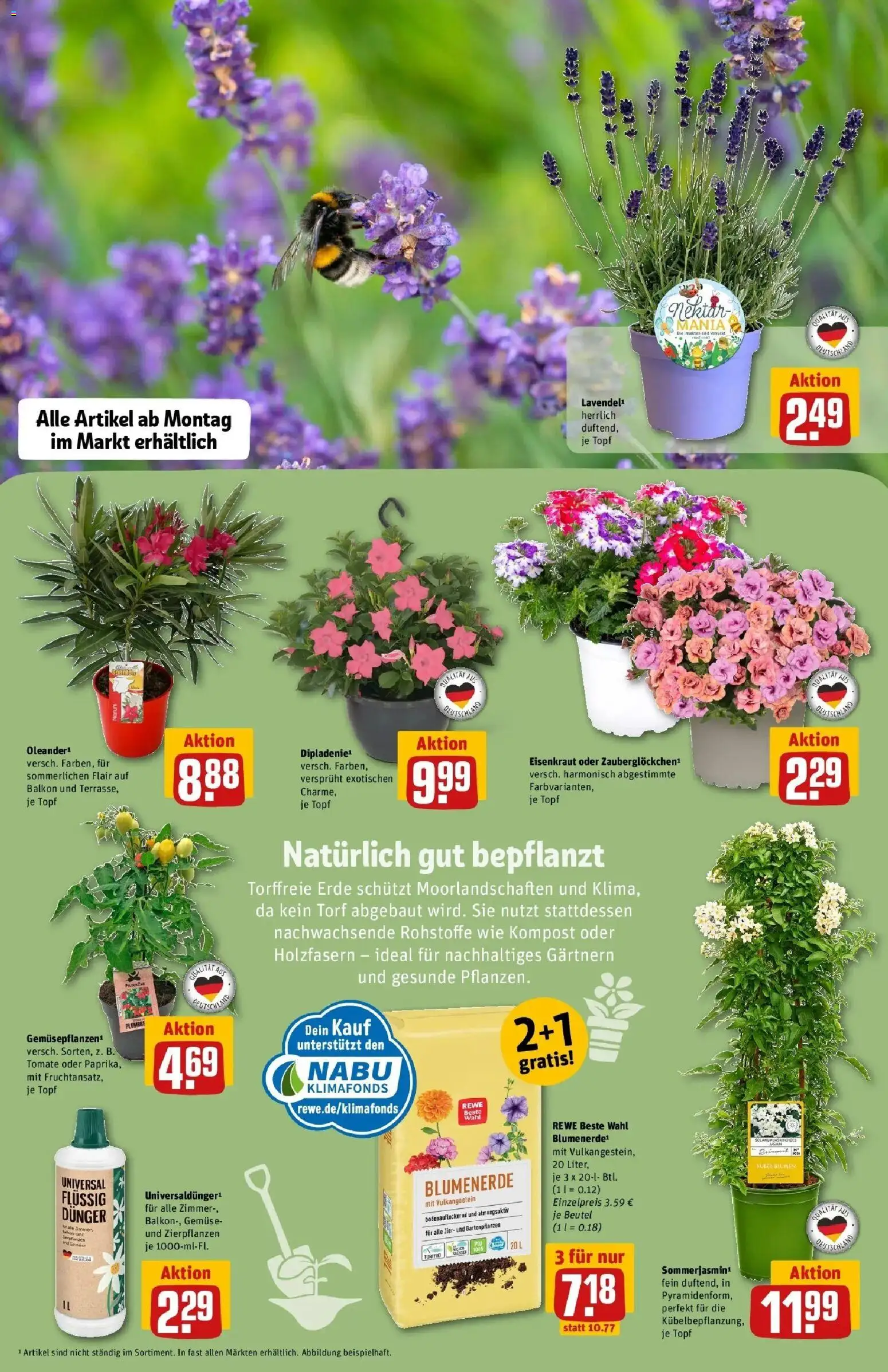 Rewe Prospekt Heidenheim	 – gültig ab 10.05.2026 | Seite: 7 | Produkte: Blumenerde, Gemüse