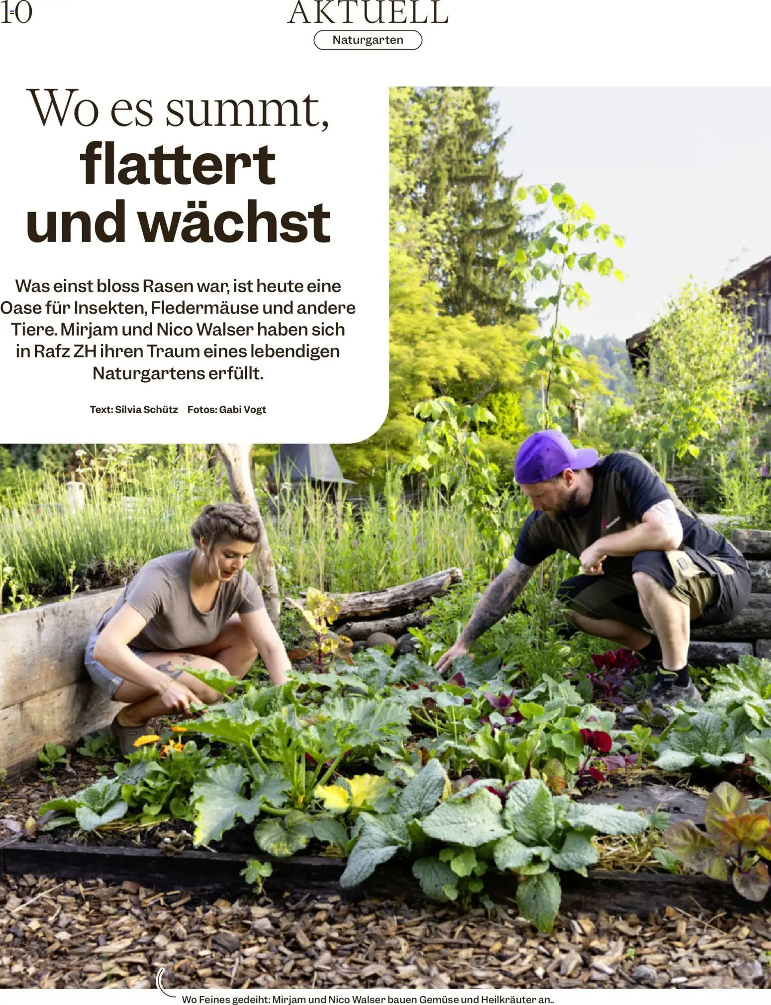Migros aktionen Magazin – gültig ab 15.07.2026 | Seite: 10 | Produkte: Gemüse