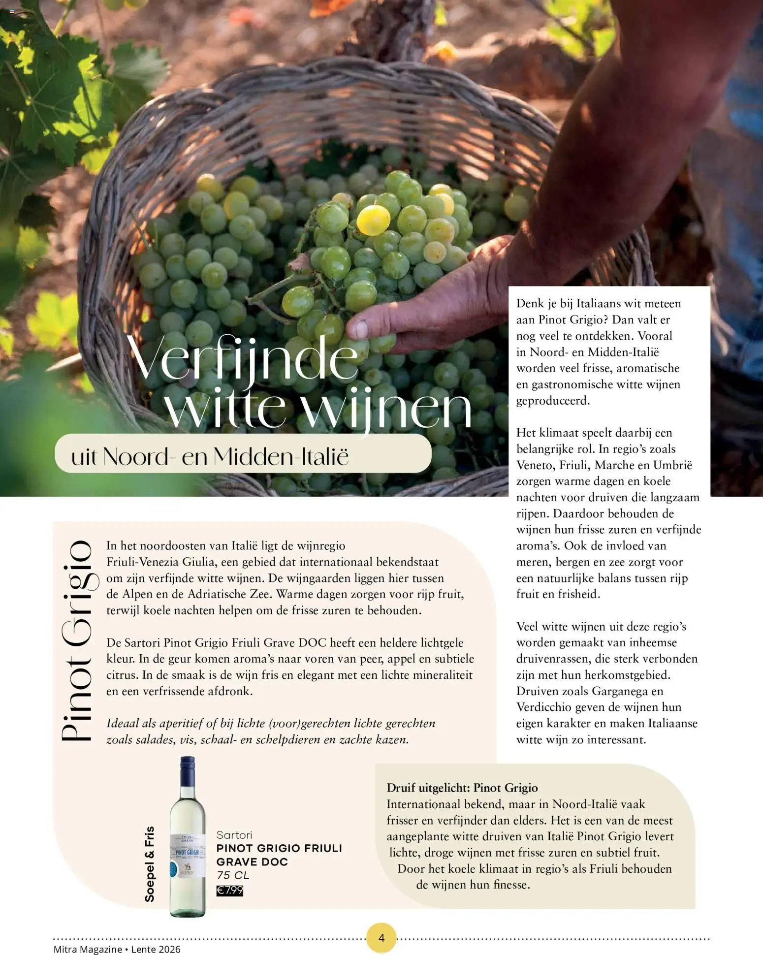 {H1} | Pagina: 72 | Producten: Druif, Schaal, Fruit, Appel