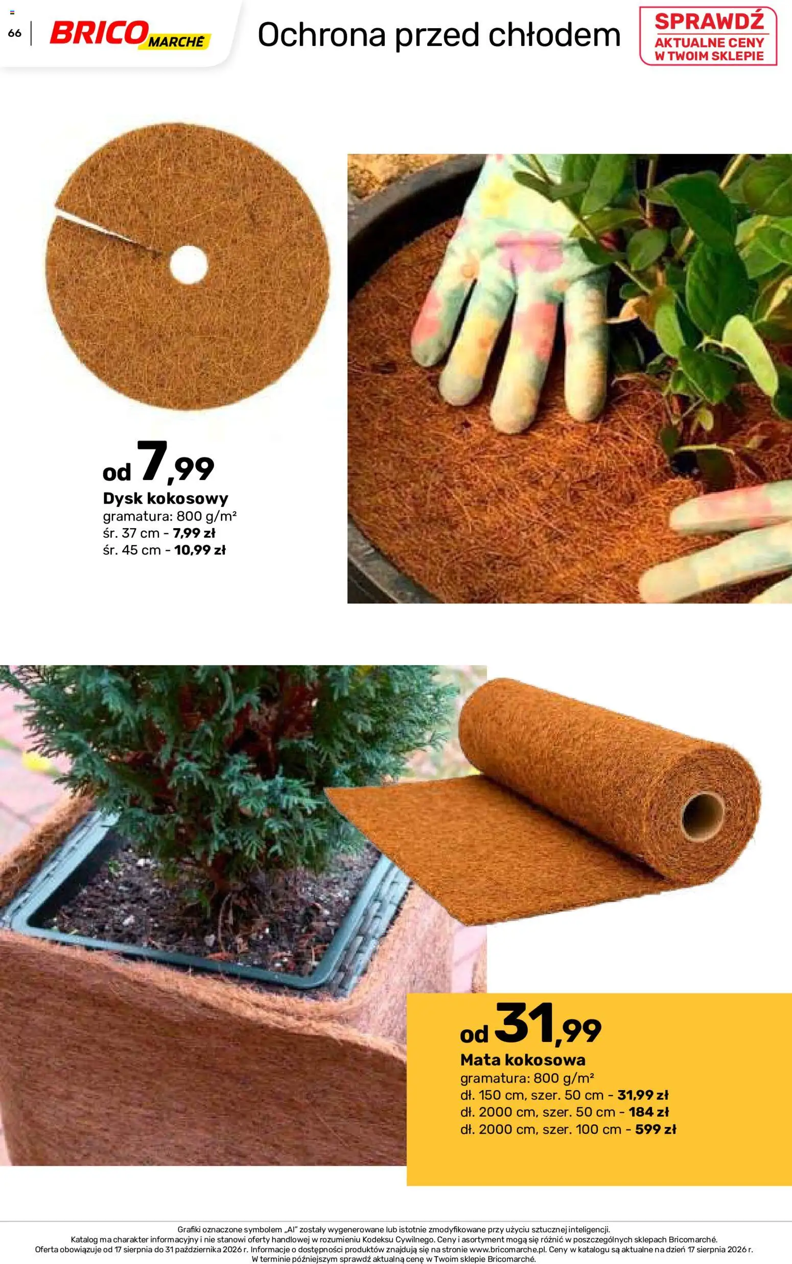 Brico Marché gazetka - Jesienne Inspiracje od 17.08.2026 | Strona: 66 | Produkty: Dysk
