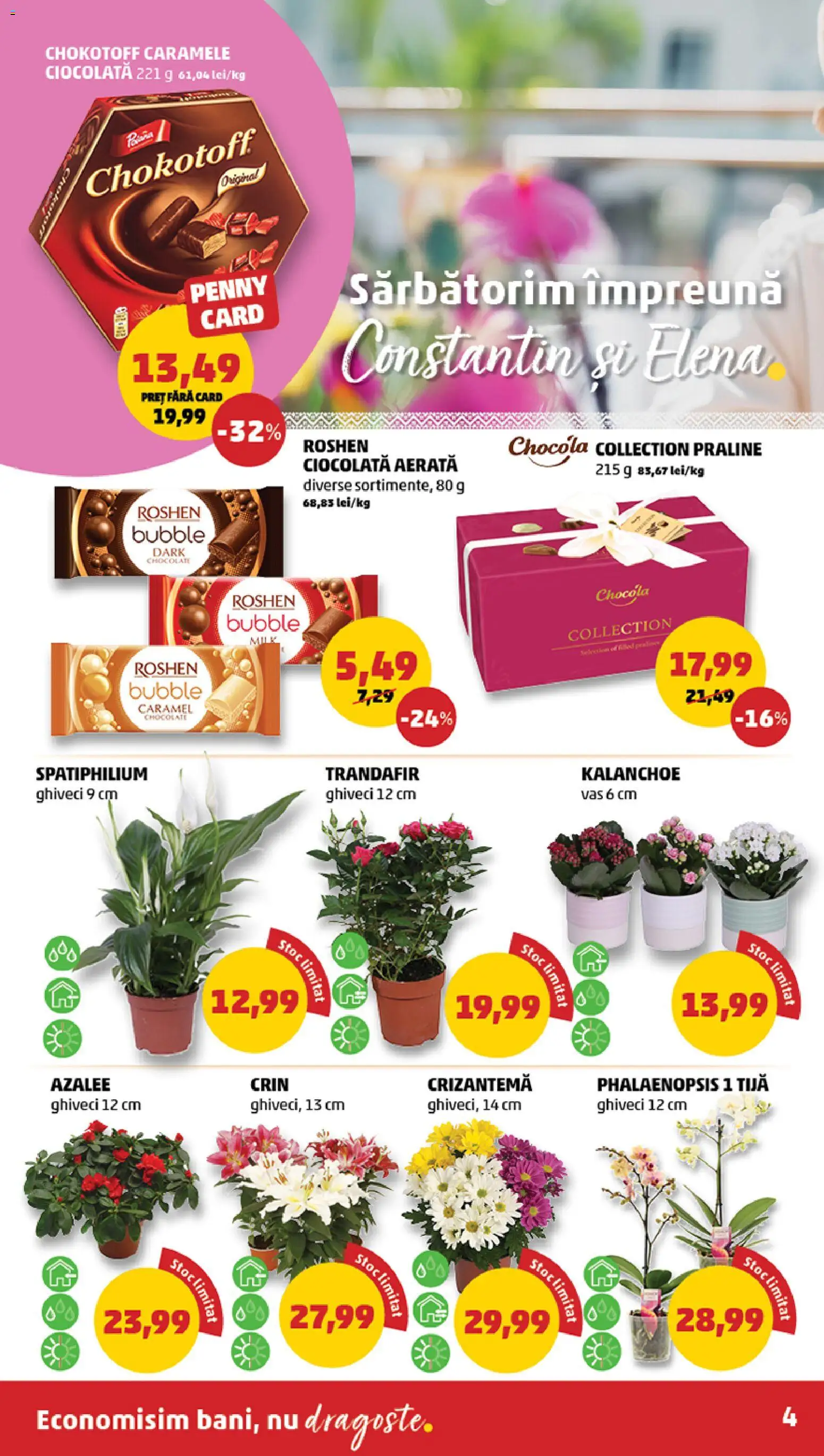 Noul catalog PENNY – valabil de la 20.05.2026 | Pagină: 4 | Produse: Trandafir, Ghiveci, Praline, Caramele