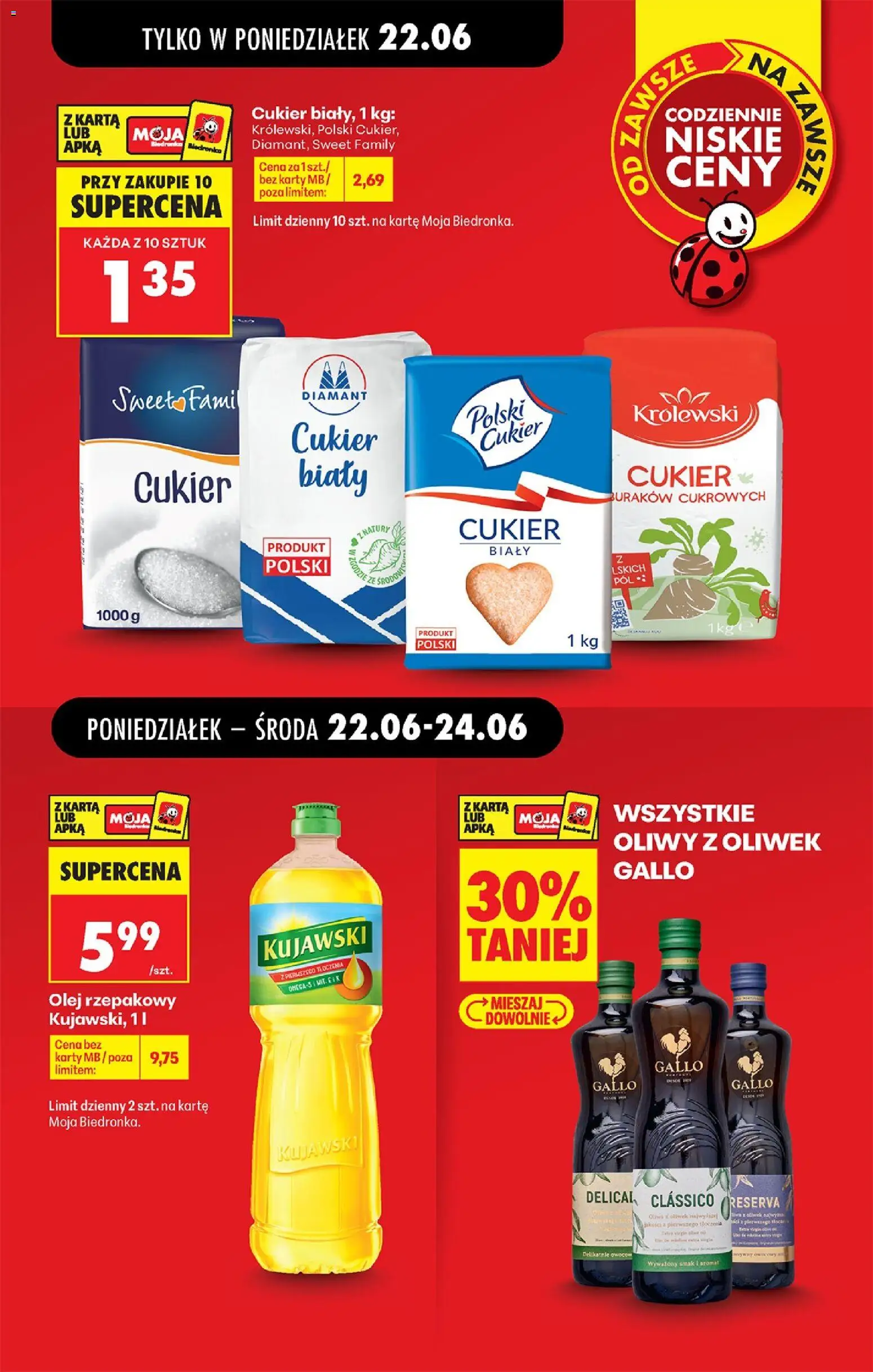 Biedronka gazetka od poniedziałku od 22.06.2026 | Strona: 13
