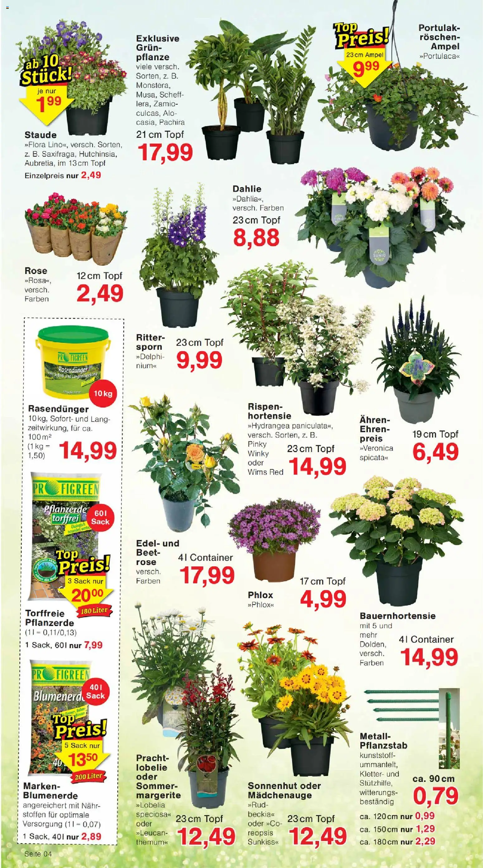 Wiglo Wunderland Prospekt – gültig ab 29.06.2026 | Seite: 4 | Produkte: Pflanzerde, Hortensie, Blumenerde
