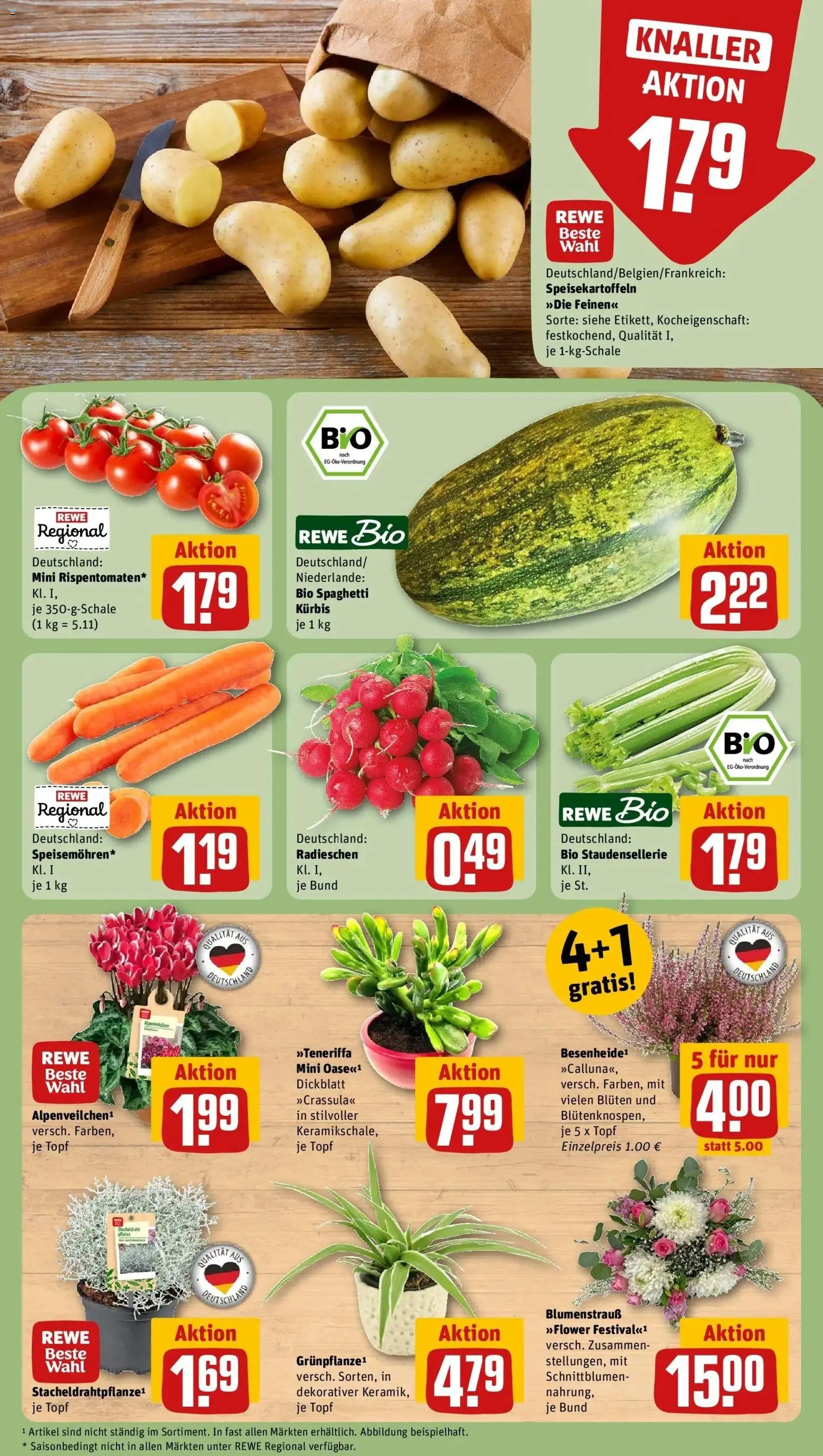 REWE Prospekt ab 05.10.2026 zum Blättern » Angebote | Seite: 9 | Produkte: Spaghetti, Kürbis