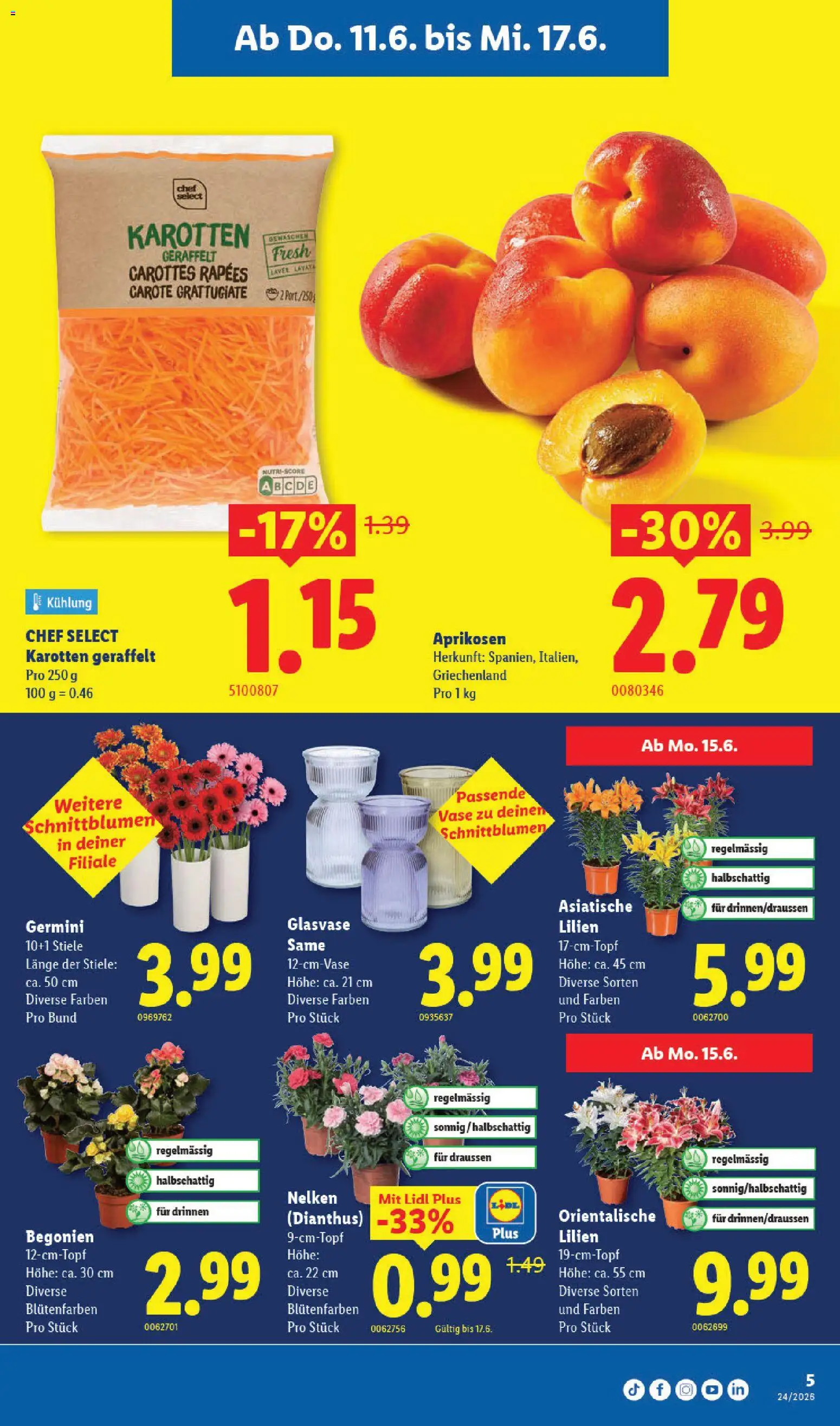 Lidl aktionen – gültig ab 11.06.2026 | Seite: 5 | Produkte: Vase