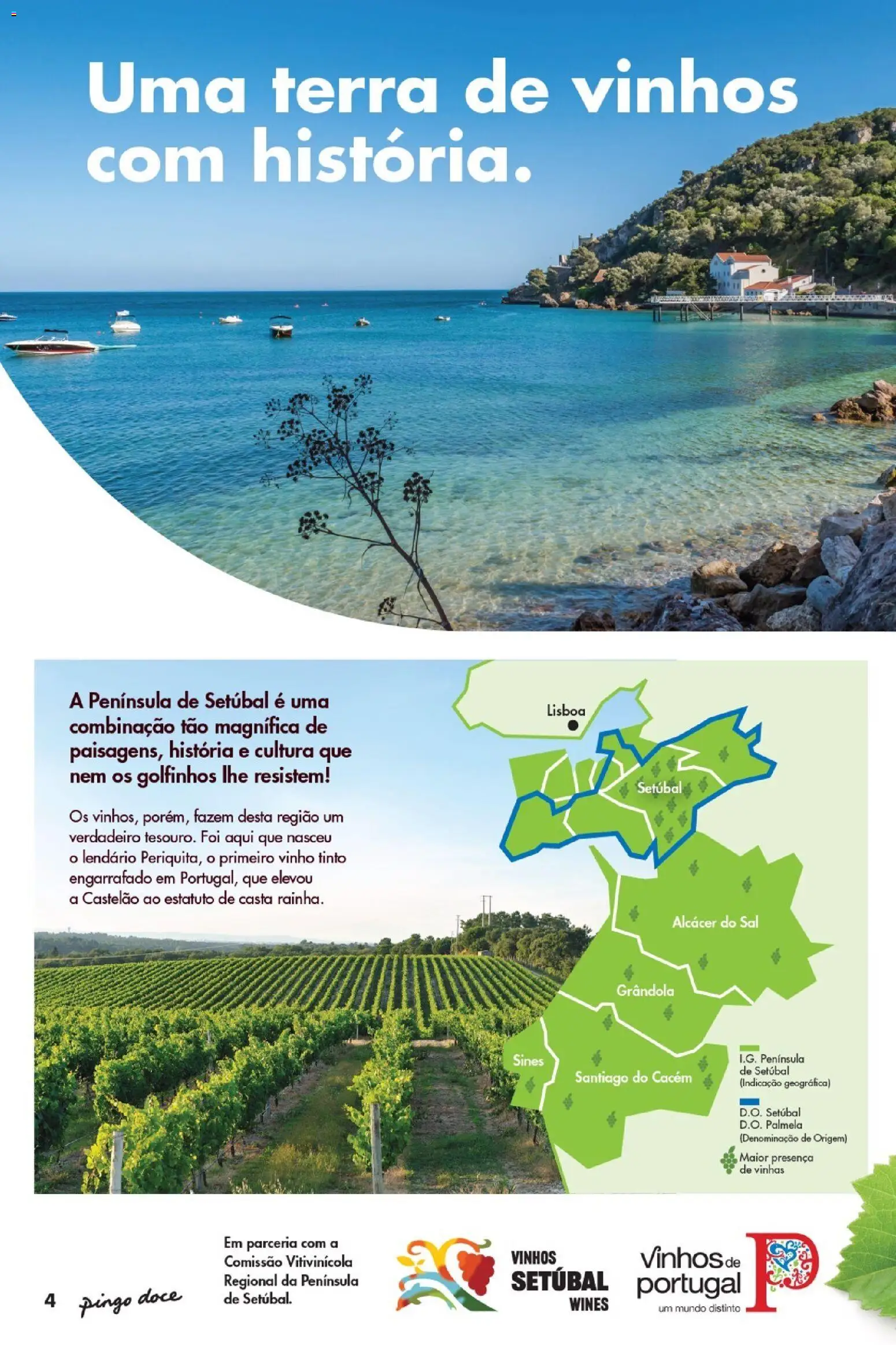 Pingo Doce Vinhos de Setúbal │ válido de 05.05.2026 | Página: 4 | Produtos: Sal, Vinho, Vinho tinto