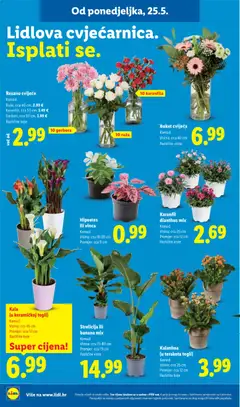 Lidl Katalog - Pregled kataloga iz trgovine Lidl, vrijedi od 25.05.2026 | Stranica: 40
