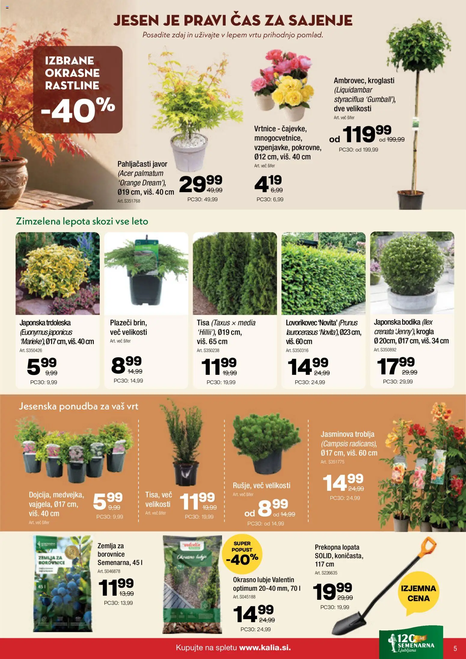 Novi Kalia katalog ponudbe – veljaven od 05.10.2026 | Stran: 5 | Izdelki: Žemlja, Borovnice