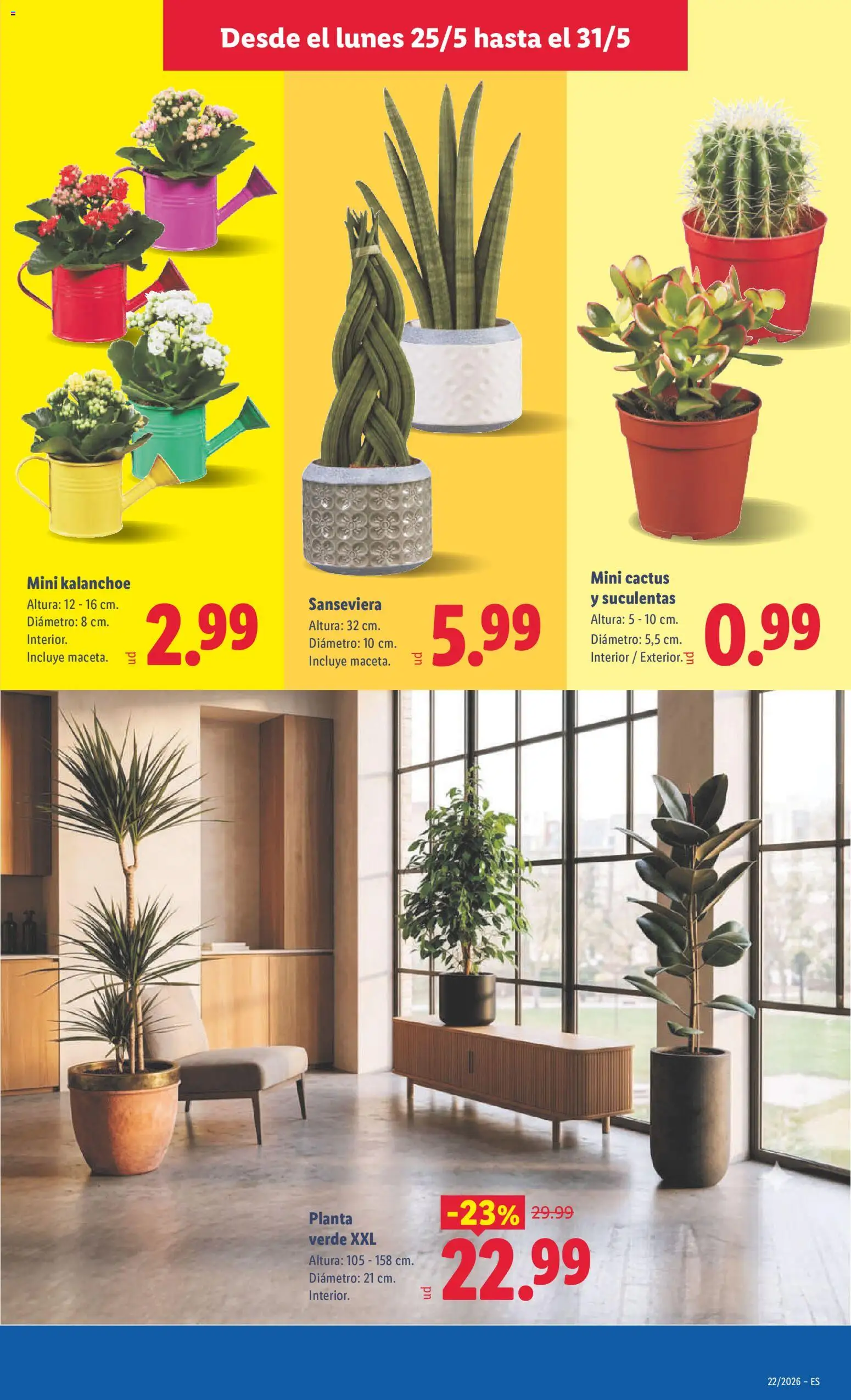 Lidl folleto │ válido desde el 25.05.2026 | Página: 35