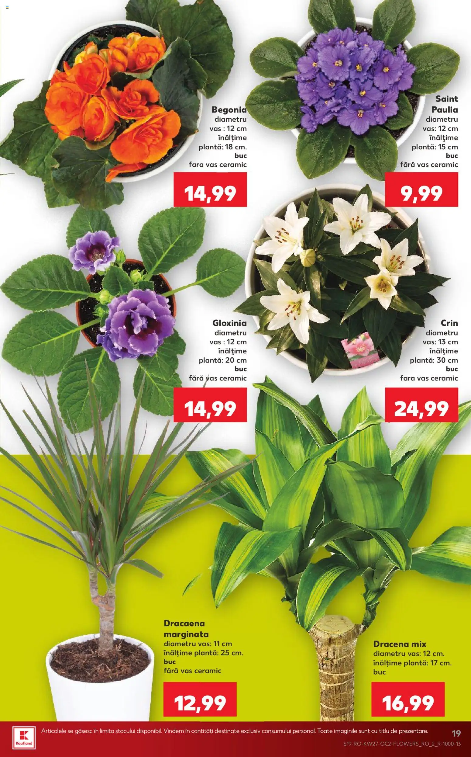 Kaufland RO akciós ujság - amely érvényes a következő dátumtól: 2026.07.01. | Oldal: 19 | Termékek: Dracéna