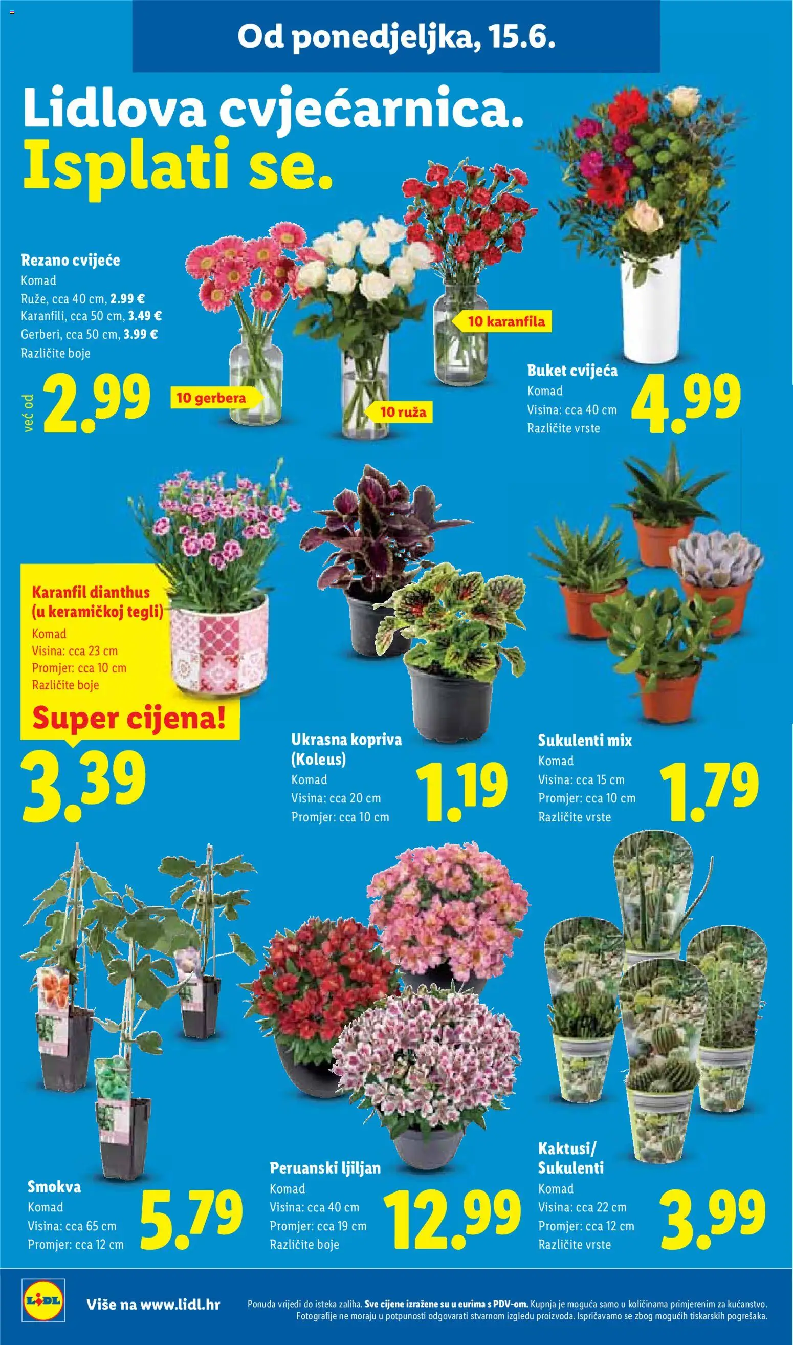Lidl katalog | vrijedi od 15.06.2026 | Stranica: 46 | Proizvodi: Cvijeće