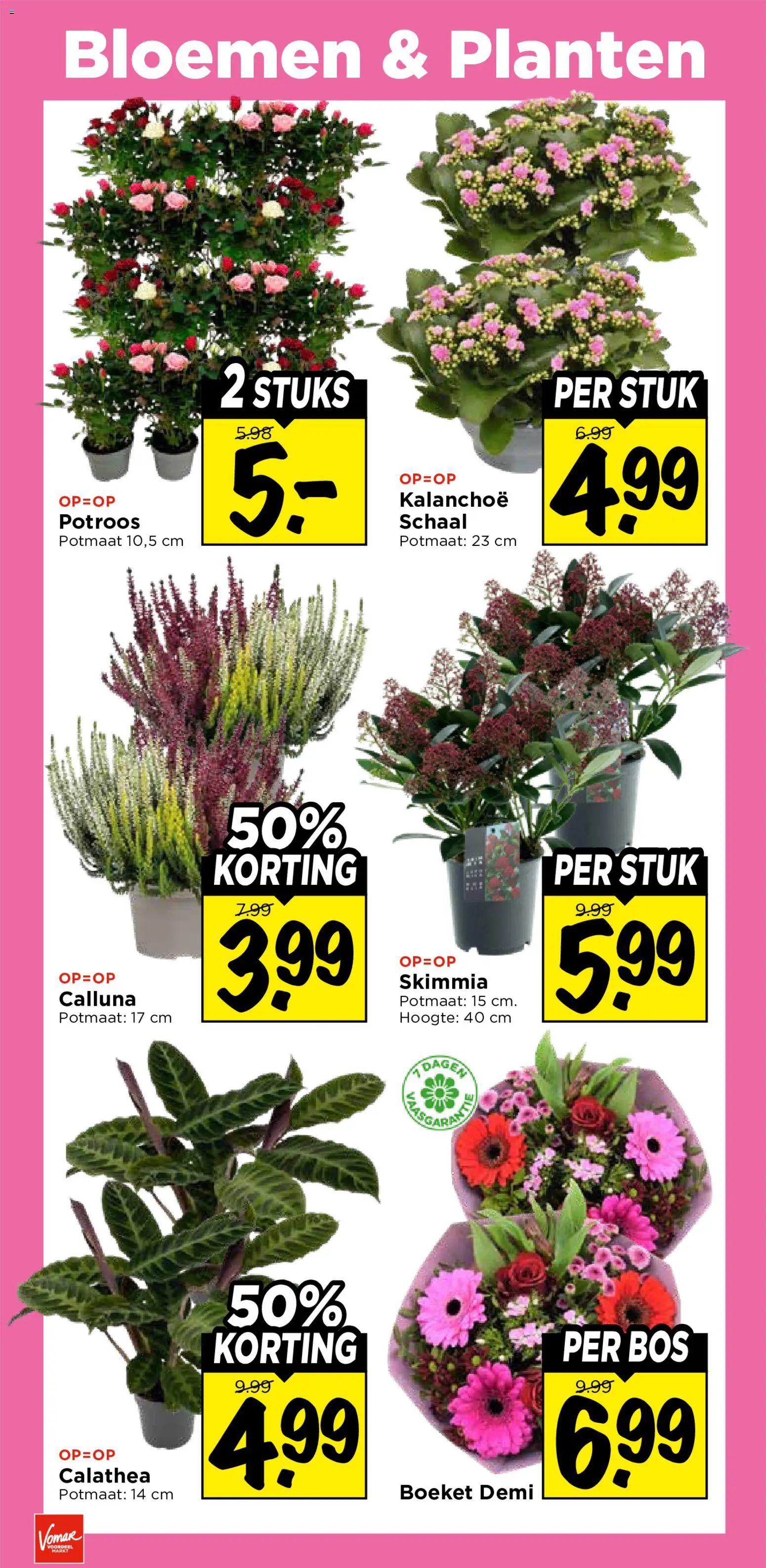 {H1} | Pagina: 37 | Producten: Schaal, Bloemen