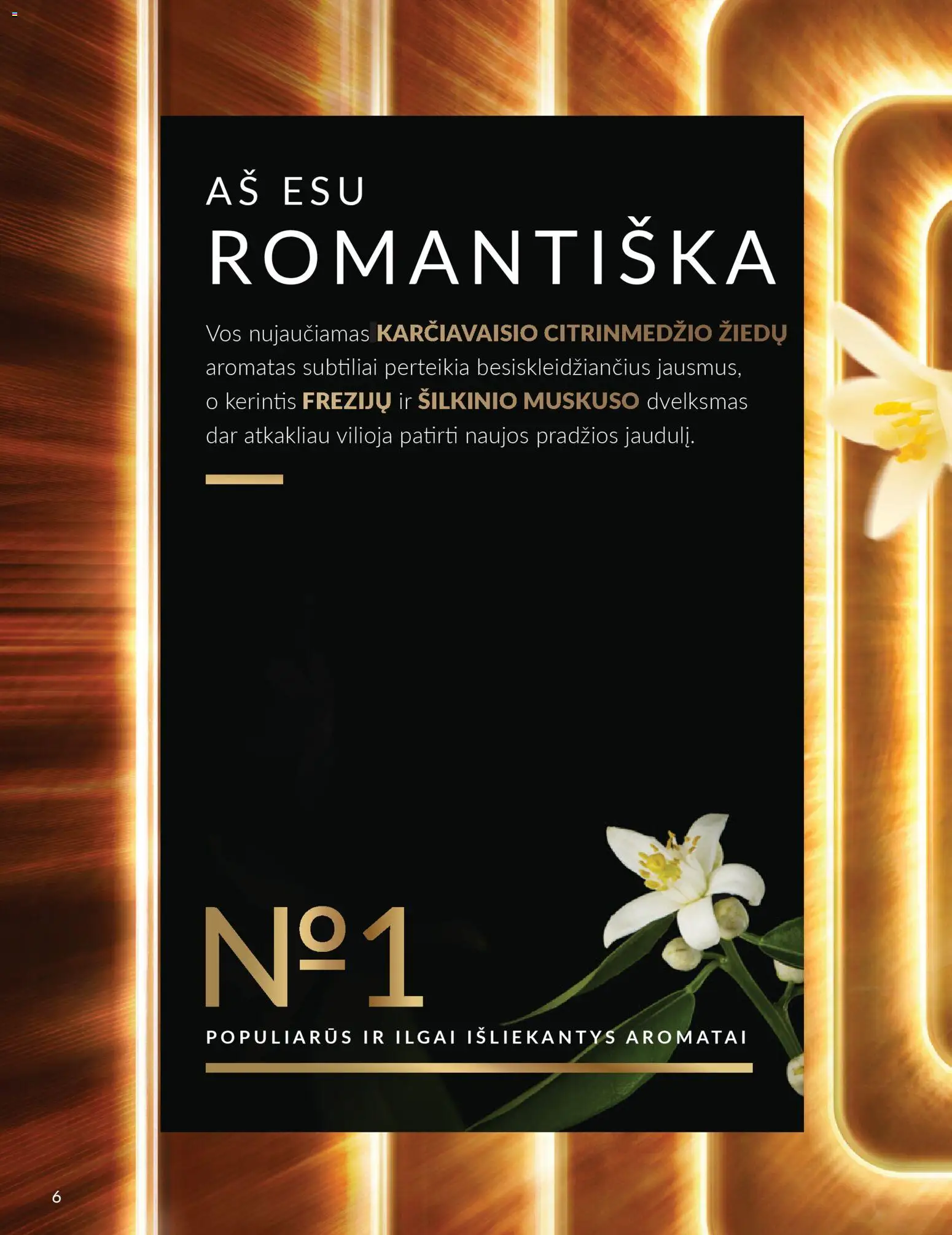 AVON akcijos nuo 2026.03.01 | Puslapis: 6
