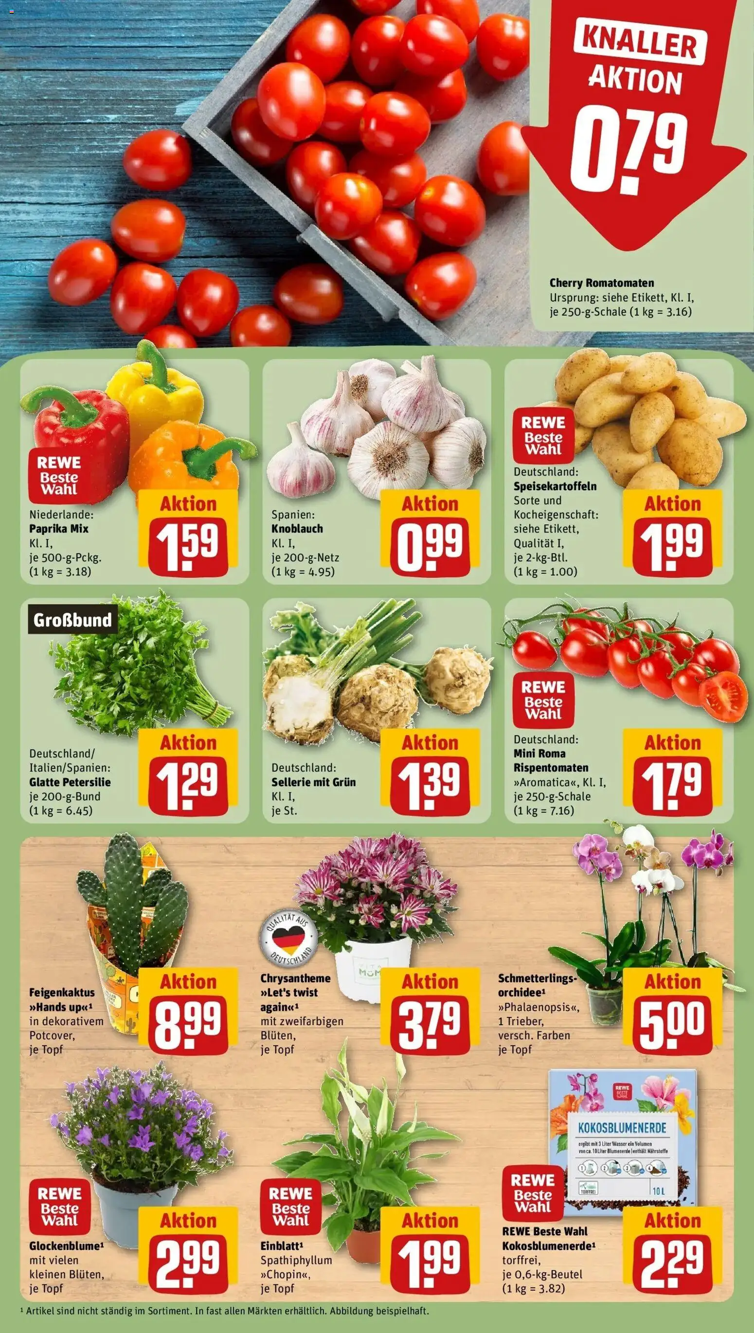 REWE Prospekt ab 10.08.2026 zum Blättern » Angebote | Seite: 5 | Produkte: Blumenerde, Wasser, Paprika, Petersilie