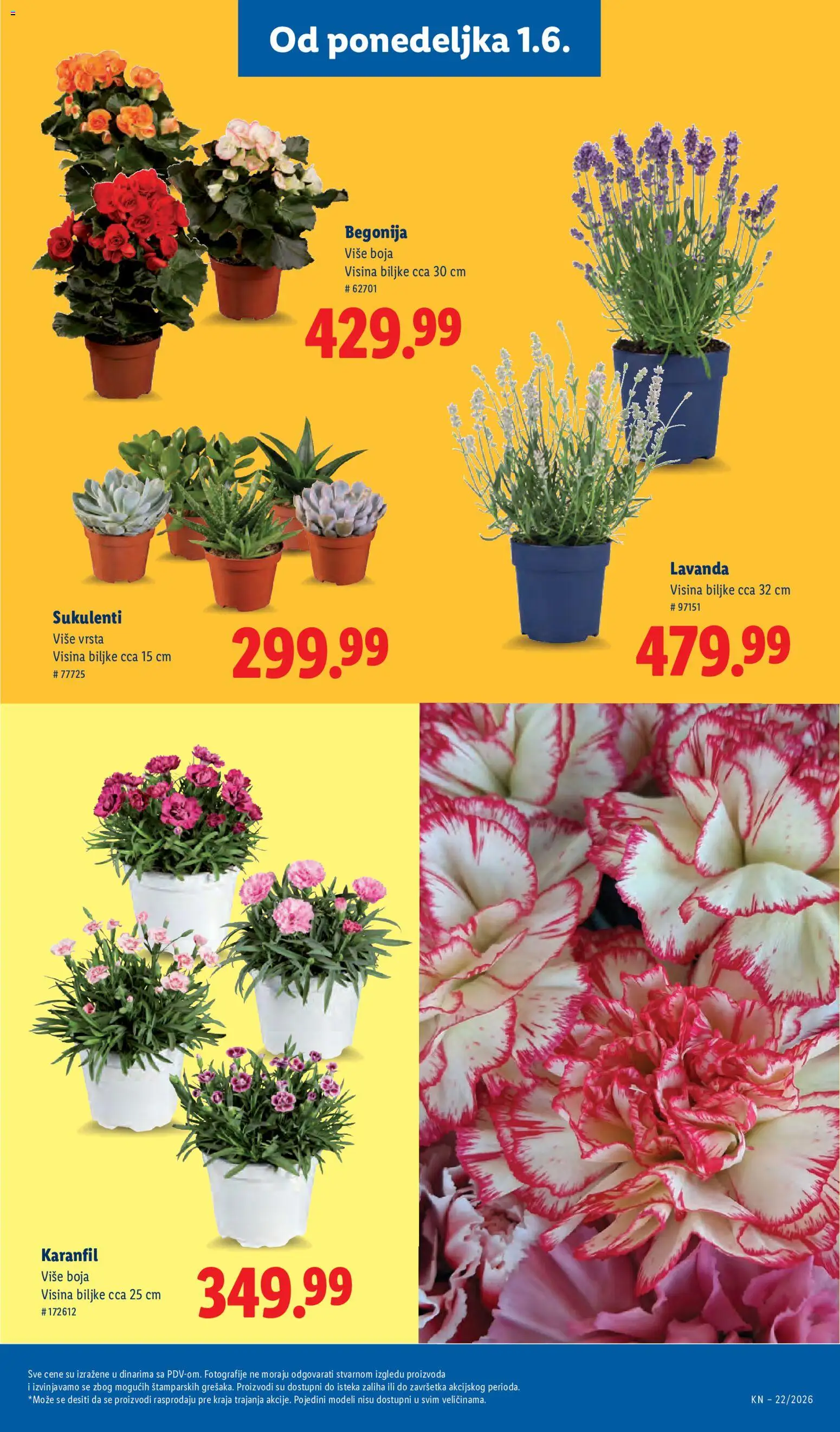 Lidl katalog - važi od 28.05.2026 | Strana: 73