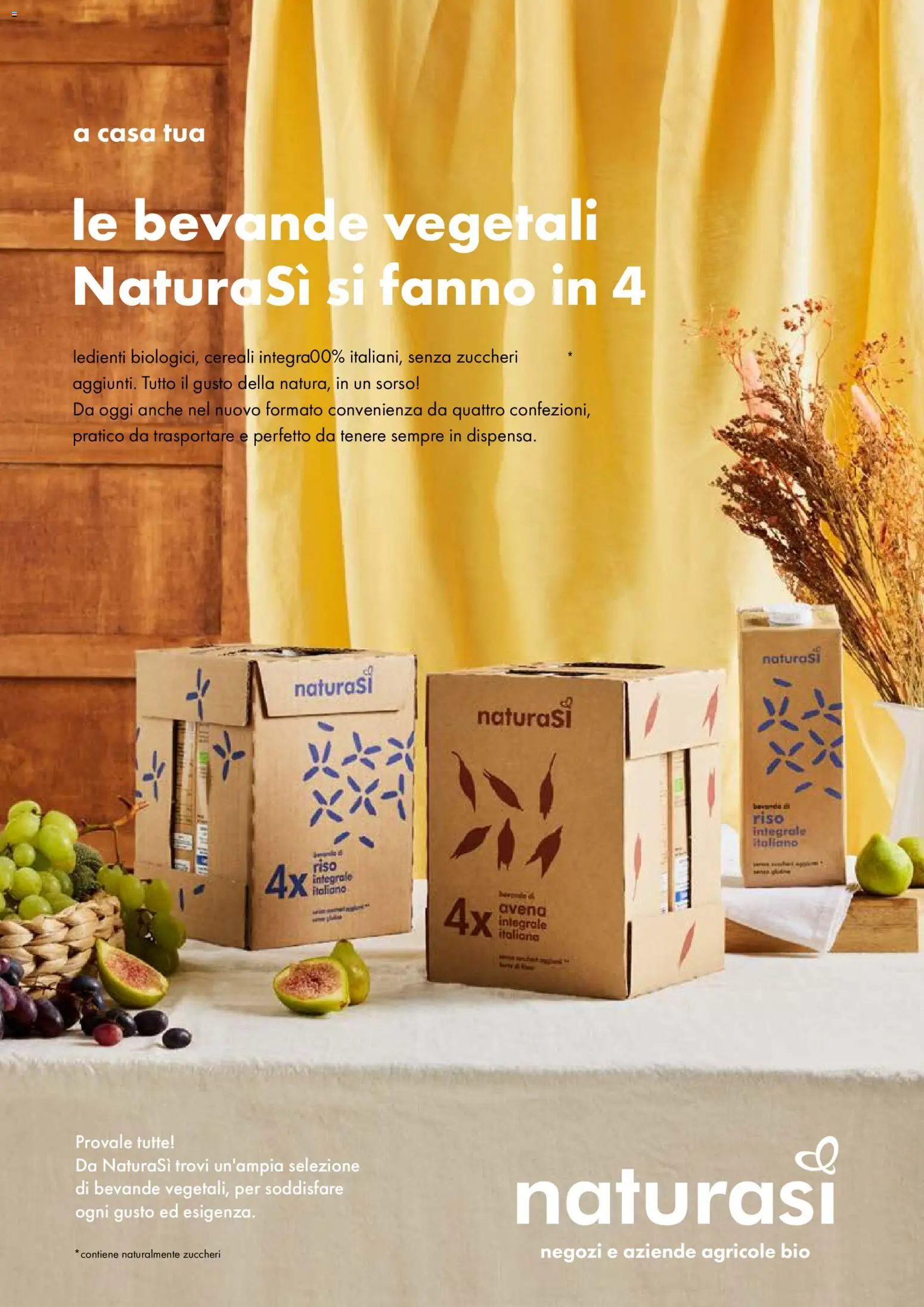 Volantino Natura Sì del 09/09/2026 | Pagina: 45 | Prodotti: Riso, Cereali, Bevande, Riso integrale