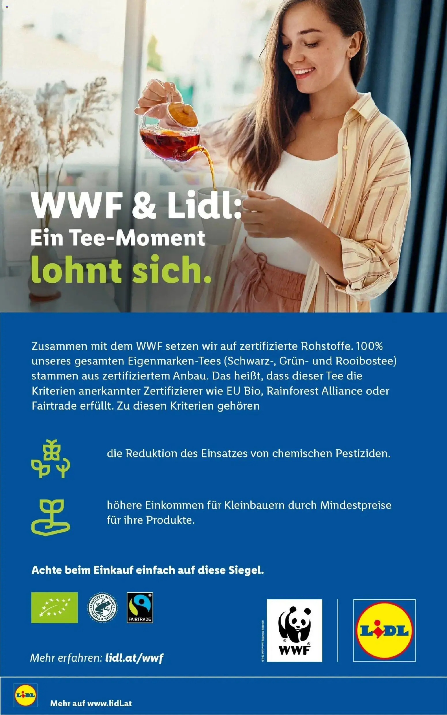 Lidl Flugblatt - Wien ab 13.09.2026 - Angebote ab donnerstag | Seite: 54 | Produkte: Tee