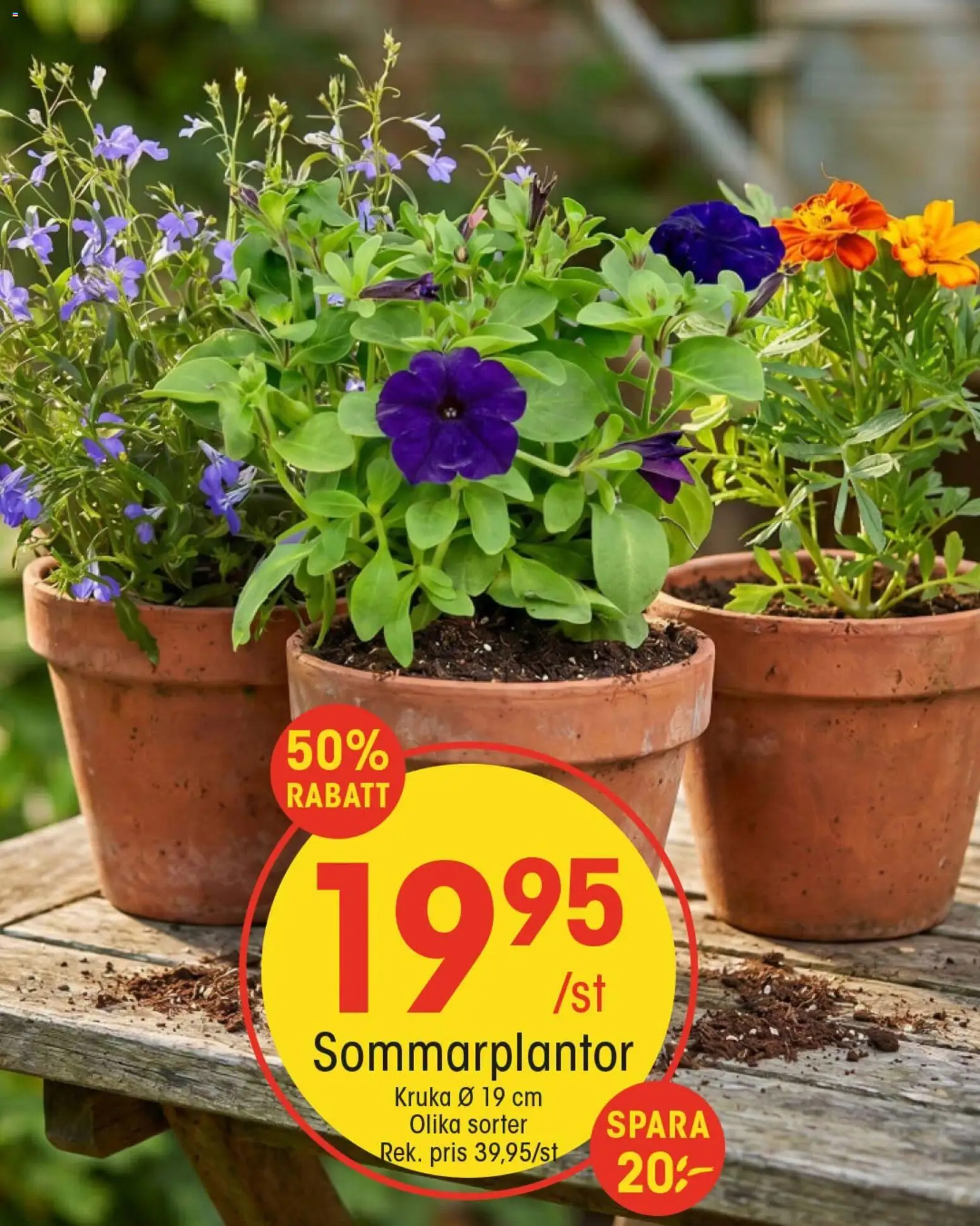 EKO reklamblad aktuell från 19/07/2026 | Sida: 2 | Produkter: Kruka