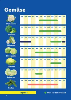 Lidl  Saisonkalender - Obst und Gemüse ab 01.01.2026 gültig | Seite: 4 | Produkte: Gemüse, Chinakohl, Blumenkohl, Brokkoli