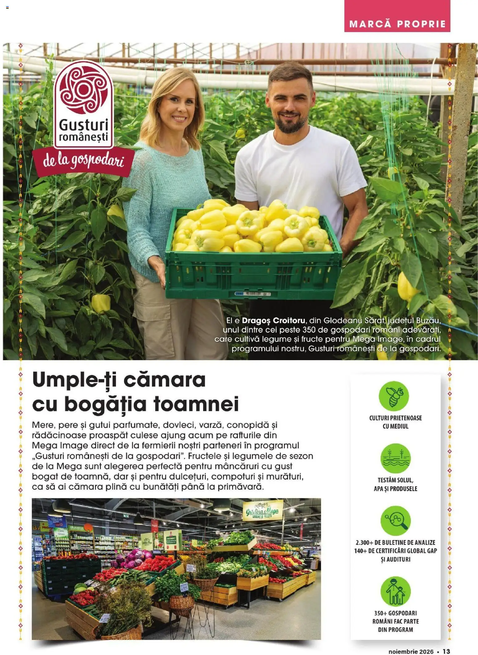 Noul catalog Mega Image – valabil de la 01.11.2026 | Pagină: 13