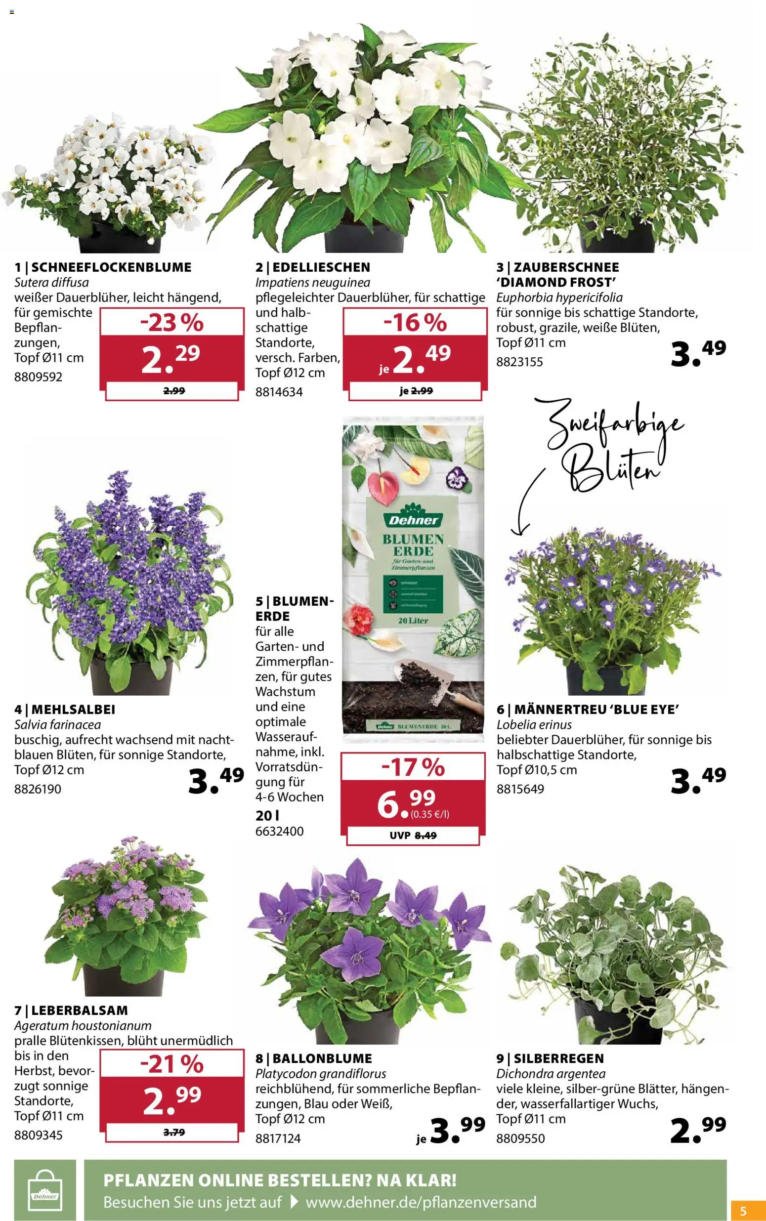 Dehner Prospekt – gültig ab 10.06.2026 | Seite: 5 | Produkte: Blumen