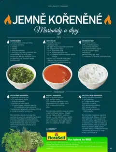 Náhled letáku HORNBACH leták - Magazín o grilování od 01.01.2026 | Strana: 39 | Produkty: Oleje, Limetka, Lžička, Marináda