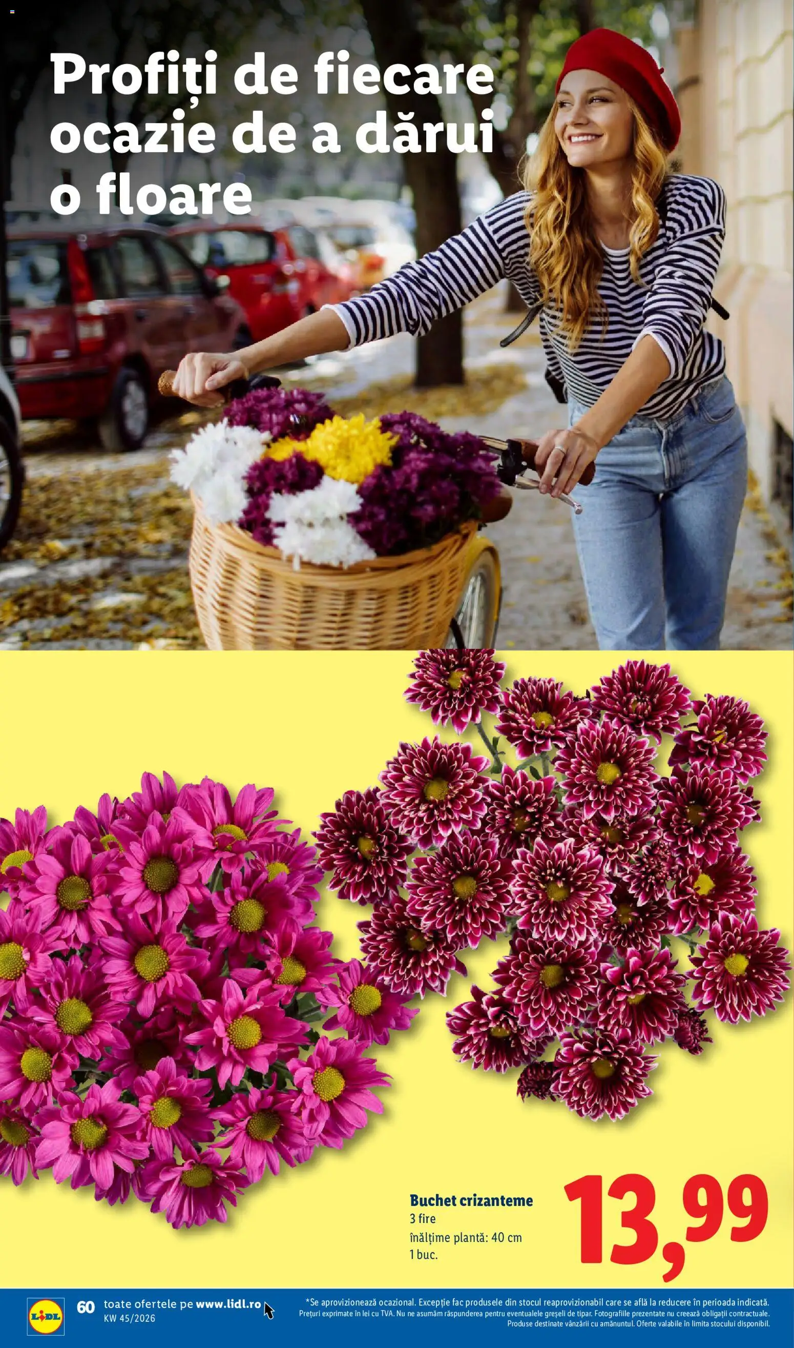 Noul catalog Lidl – valabil de la 02.11.2026 | Pagină: 60