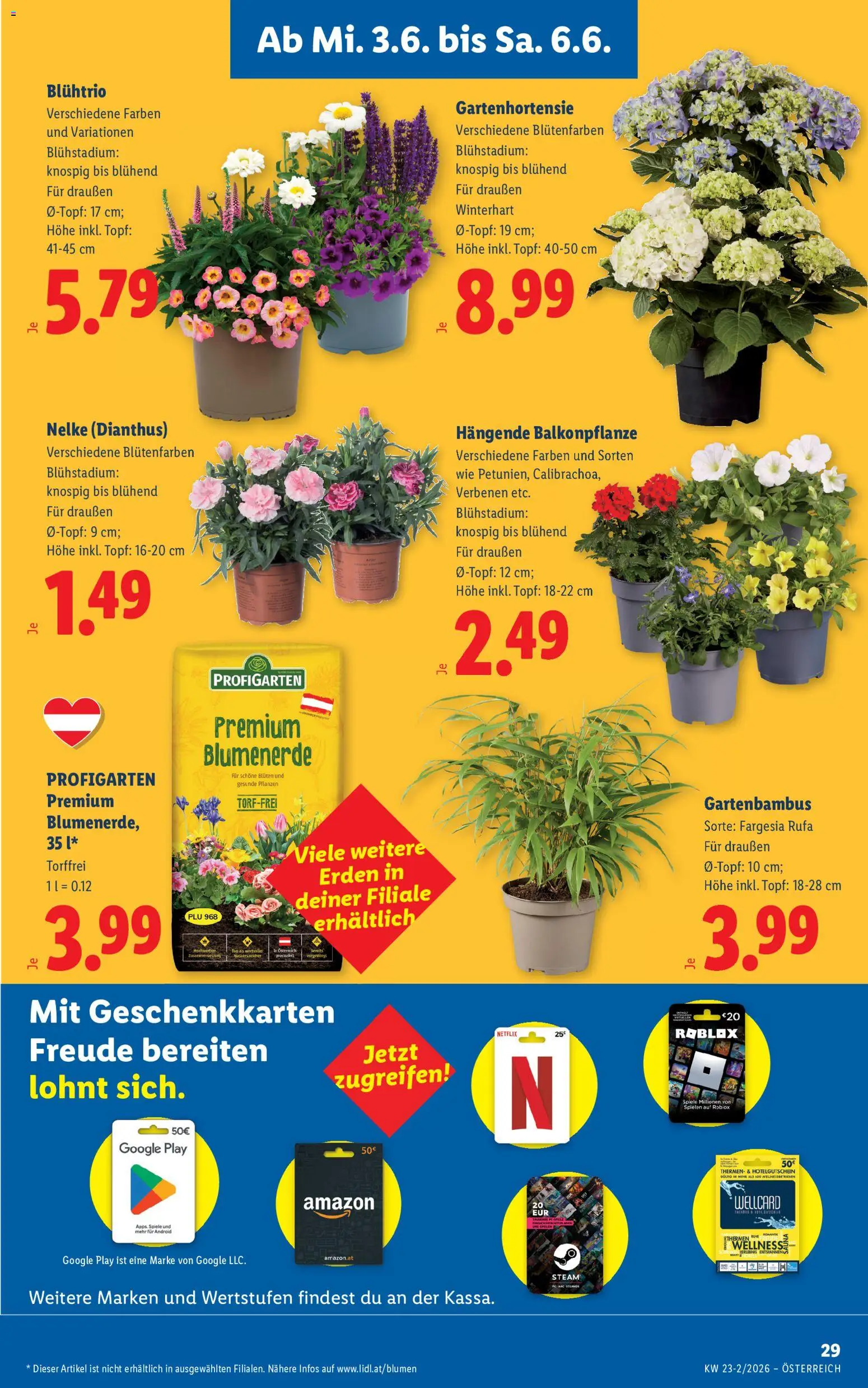 Lidl - Flugblatt gültig ab 03.06.2026 | Seite: 33