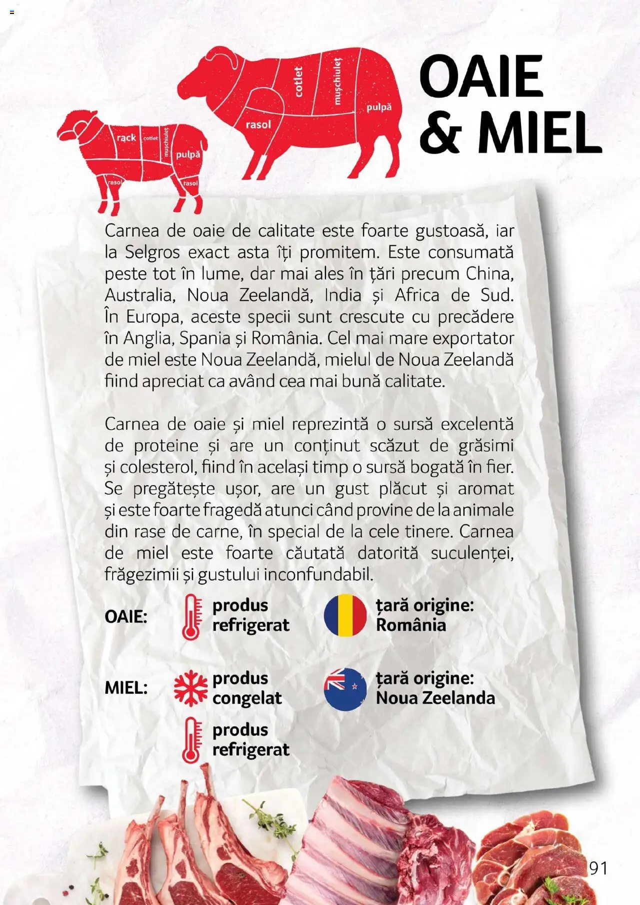 Noul catalog Selgros – valabil de la 27.04.2023 | Pagină: 91 | Produse: Masaüstü kılıfı, Lait de coco, Pește, Rasol