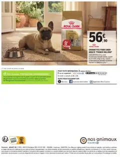E.Leclerc - Prévisualisation de E.Leclerc Nos animaux valide à partir de 30/06/2026 | Page: 4 | Produits: Croquettes pour chien adulte, Croquettes pour chien
