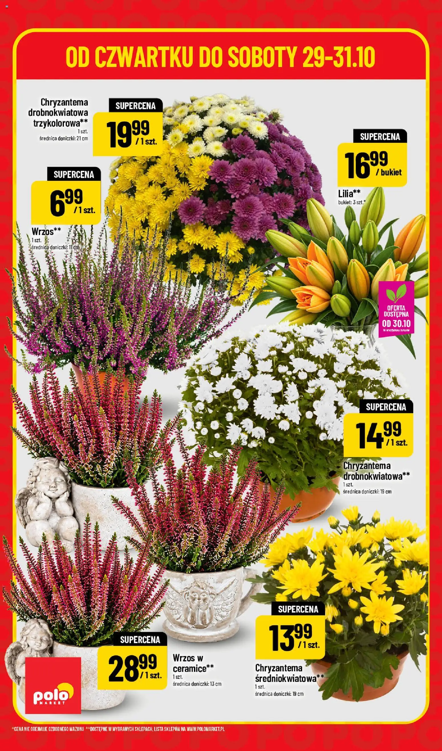 Nowa POLOmarket gazetka od jutra 29.10.2026 | Strona: 6 | Produkty: Wrzos, Doniczki