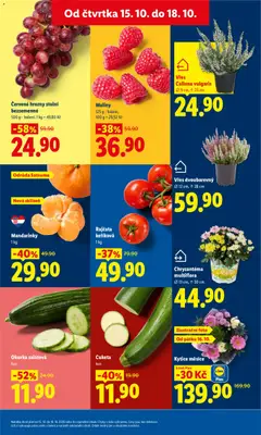 Náhled letáku Kytice měsíce, S Lidl Plus od 15.10.2026 | Strana: 11