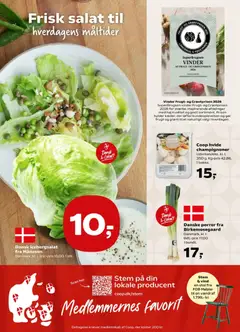 Danske porrer fra Birkemosegaard, Danmark, kl. I. Bdt.-pris 17,00. gyldig fra 09/10/2026 | Side: 14 | Produkter: Salat, Stol, Porrer, Icebergsalat