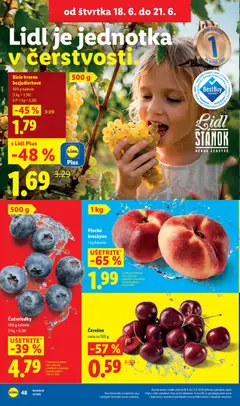 Lidl leták platný od 15.06.2026 | Strana: 60