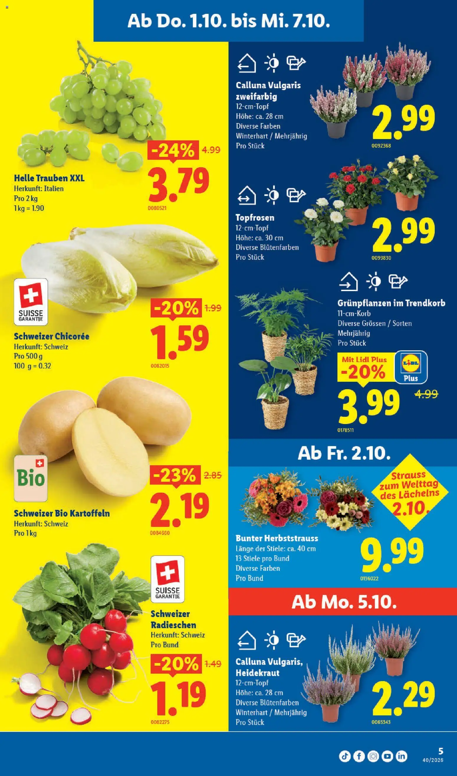 Lidl aktionen – gültig ab 01.10.2026 | Seite: 5