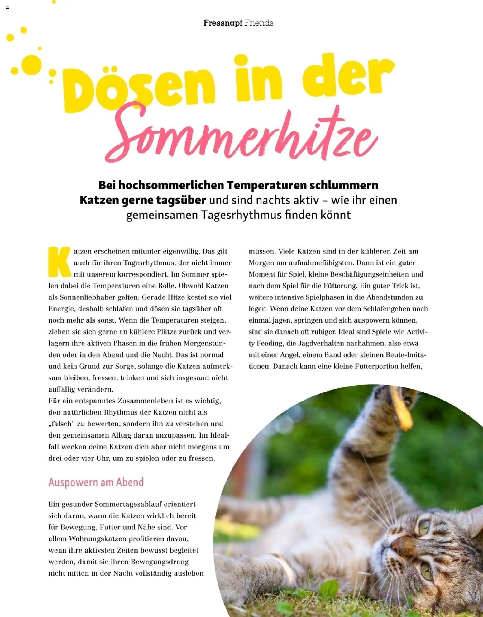 Fressnapf Friends 07,08/26 gültig ab 01.07.2026 | Seite: 46 | Produkte: Spiel