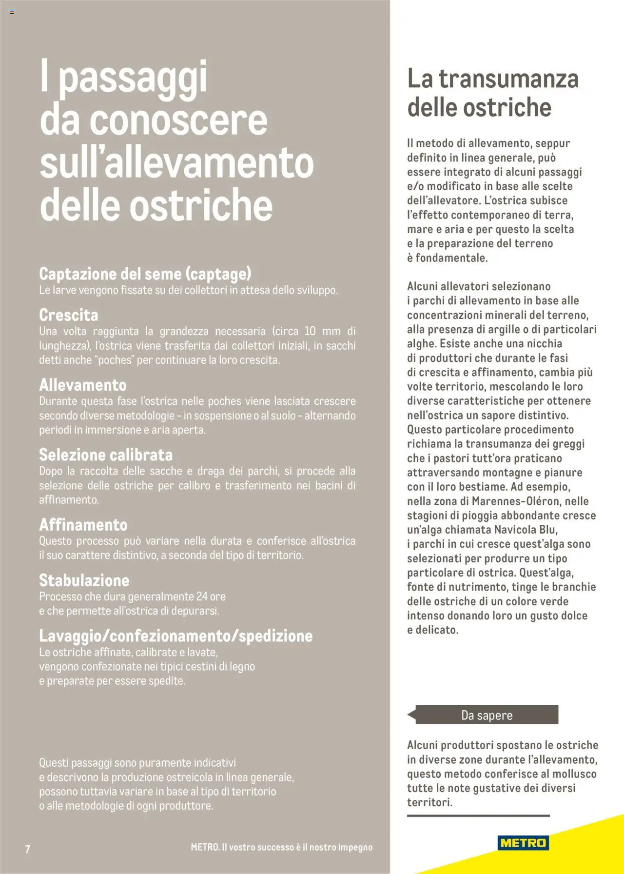 Volantino Metro del 17.06.2025 | Pagina: 7