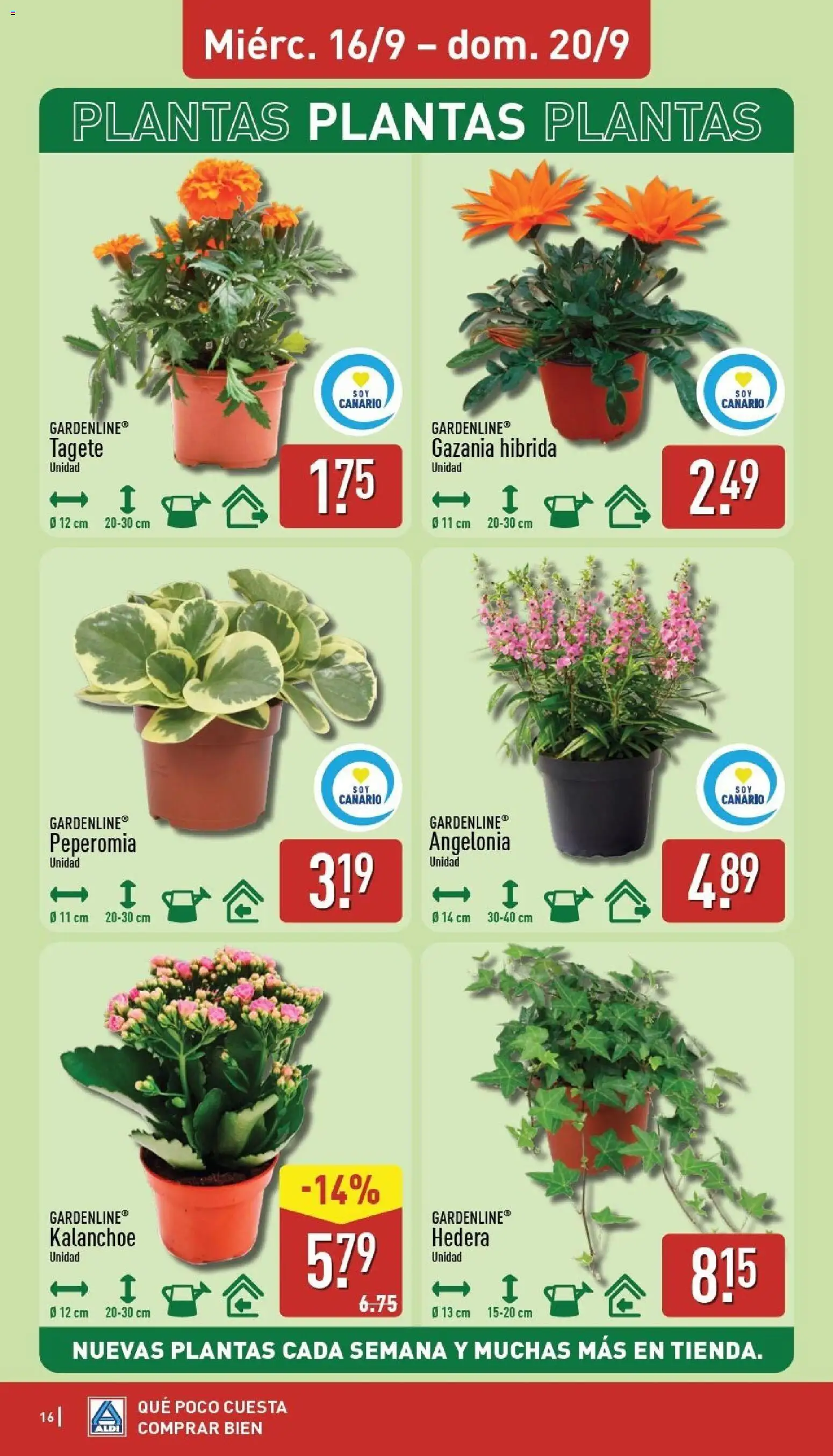 Aldi folleto Canarias │ válido desde el 14/09/2026 | Página: 16