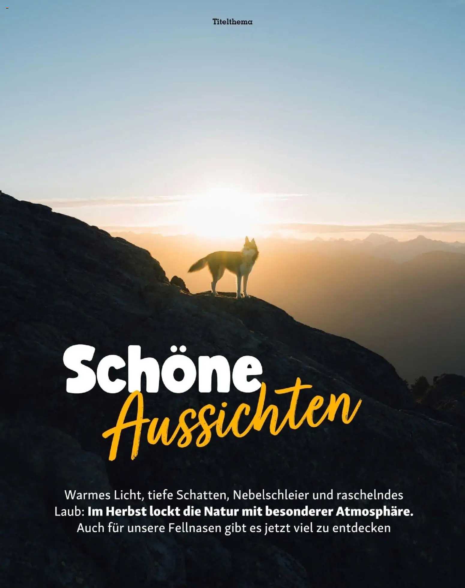 Fressnapf Friends 09,10 /26 gültig ab 01.09.2026 | Seite: 11