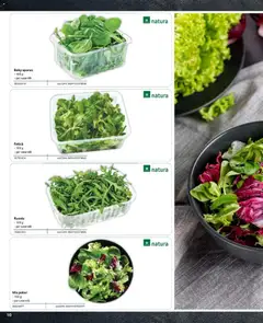 Ofertele Selgros valabile de la 09.02.2024 | Pagină: 10 | Produse: Pungă, Ardei, Castraveți