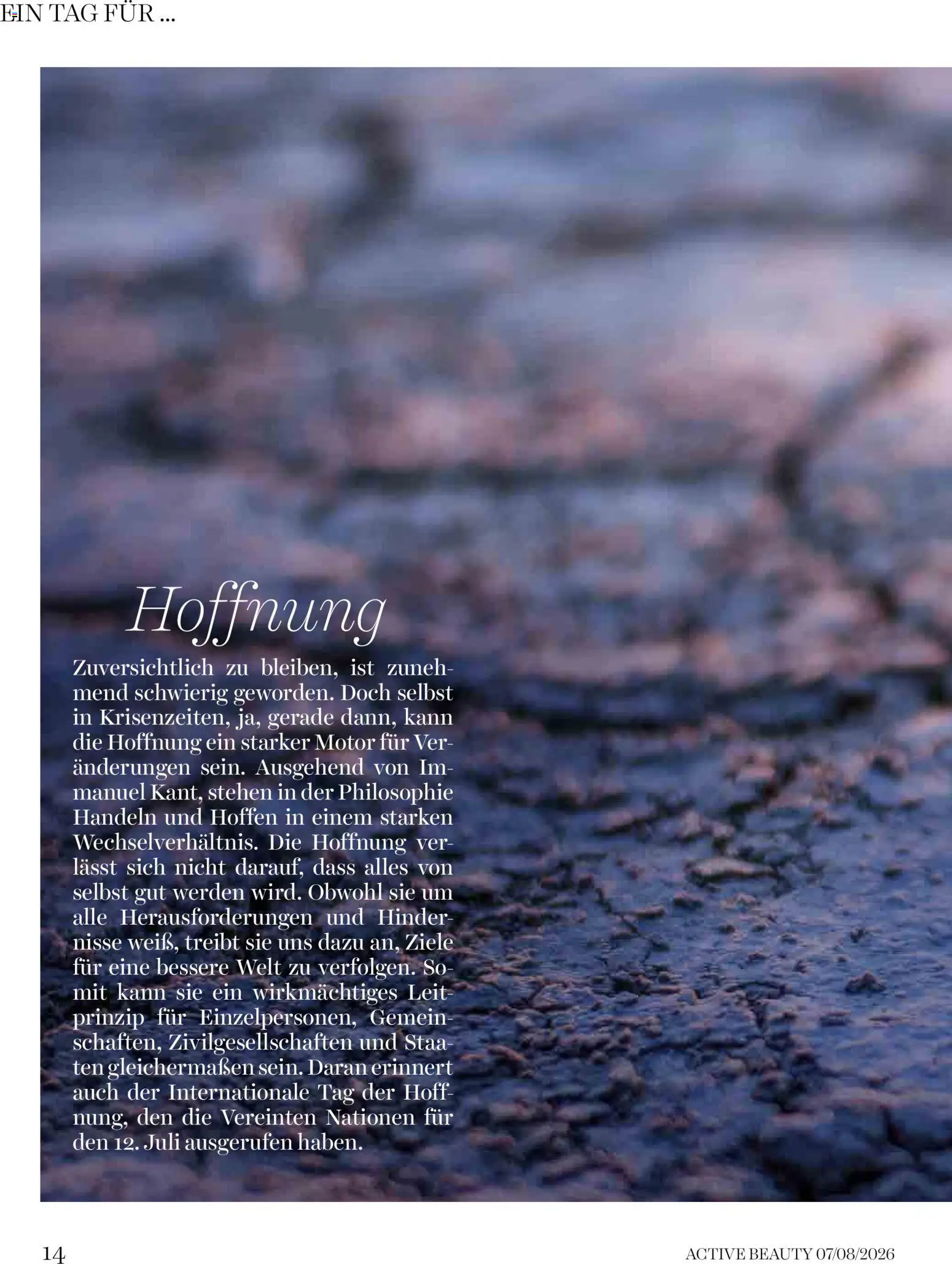 dm drogerie markt Active Beauty Magazin 07,08/2026 gültig ab 01.08.2026 | Seite: 14