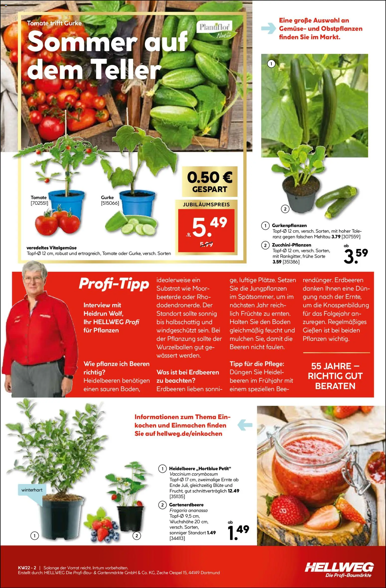 Hellweg Prospekt – gültig ab 26.05.2026 | Seite: 19 | Produkte: Heidelbeeren, Gemüse, Erdbeeren