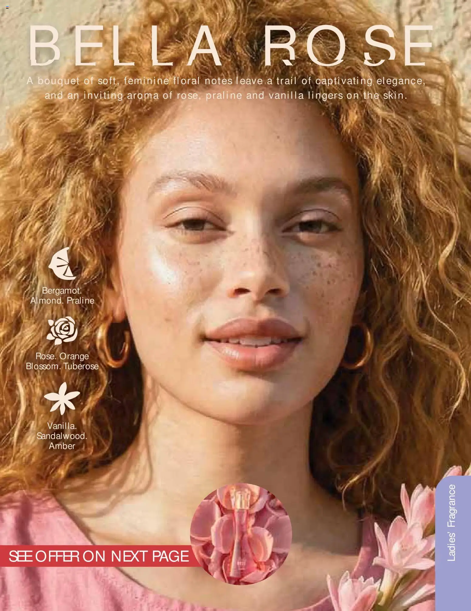 New Justine catalogue – valid from 01/09/2026 | Page: 60