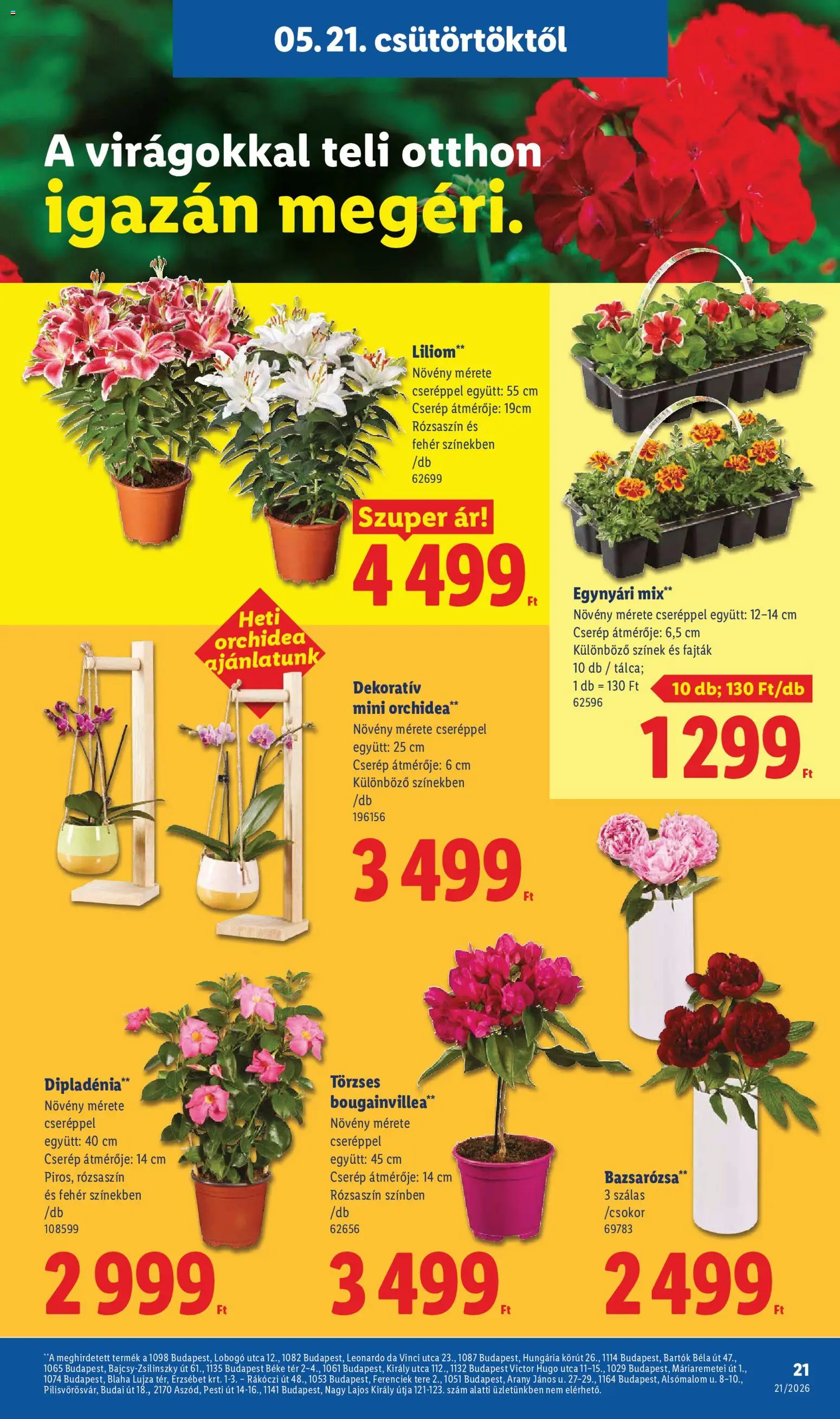 Lidl akciós ujság - amely érvényes a következő dátumtól: 21.05.2026 | Oldal: 21 | Termékek: Orchidea