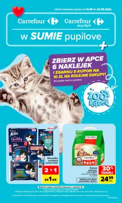 Pogląd oferty "Carrefour gazetka - Pupilove" - ważna od 14.09.2026