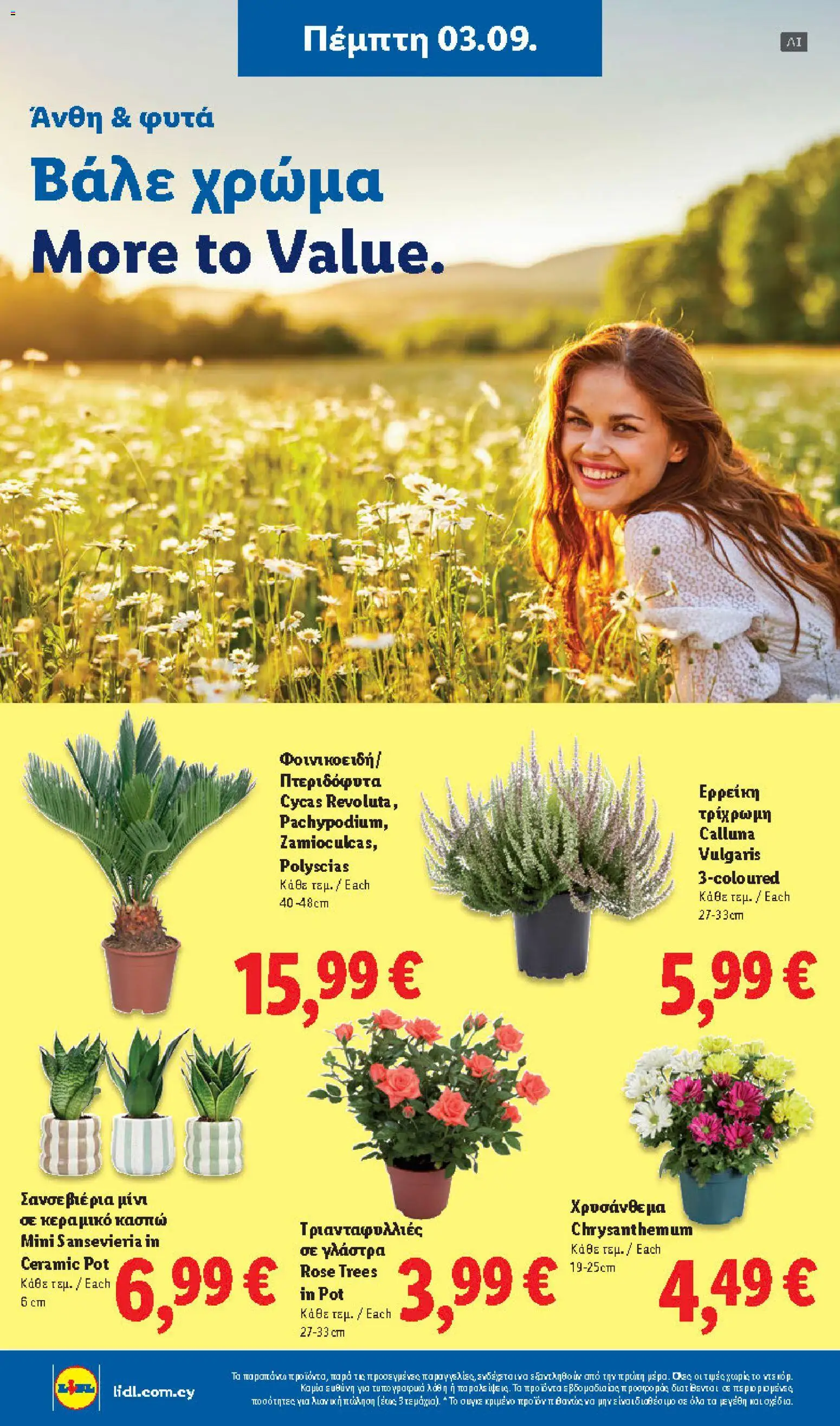 Lidl φυλλαδιο – σε ισχύ από 03/09/2026 | Σελίδα: 42