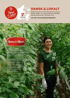 Super Brugsen - Tilbudsavis uge 24 gyldig fra 12.06.2026 | Side: 17 | Produkter: Salat, Peberfrugter, Søm
